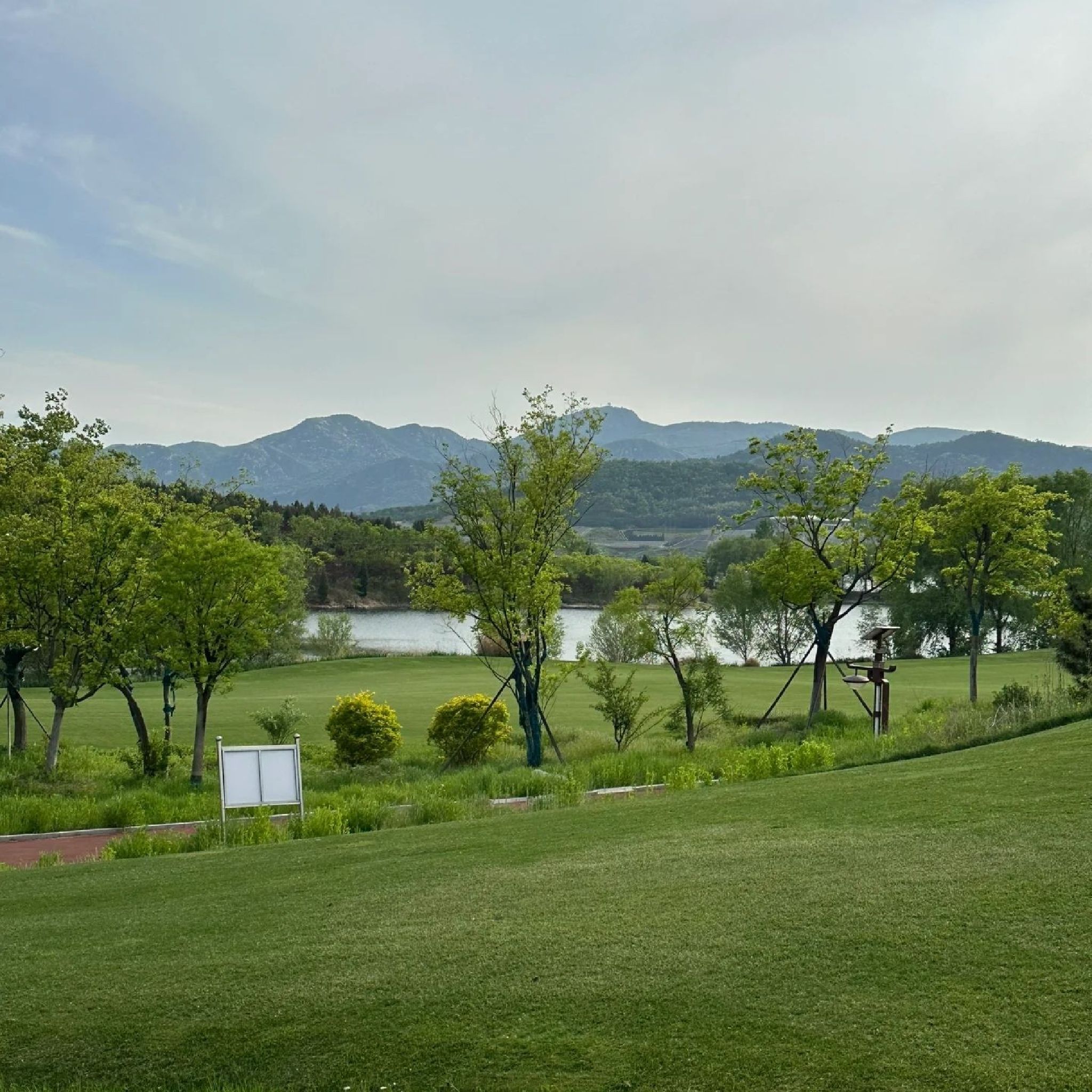 山东莱芜雪野湖国家湿地公园旅行图片 3