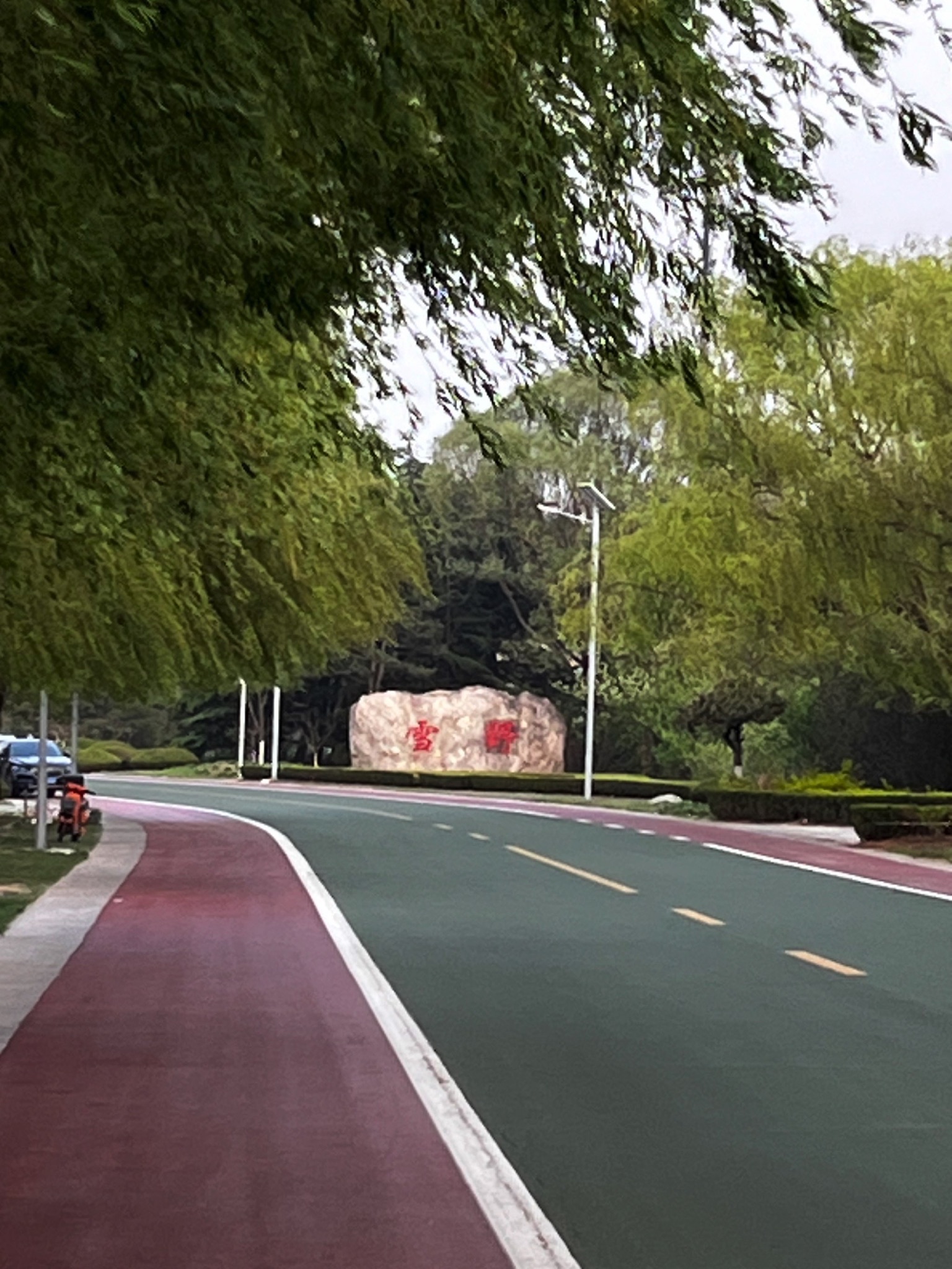 山东莱芜雪野湖国家湿地公园旅行图片 1