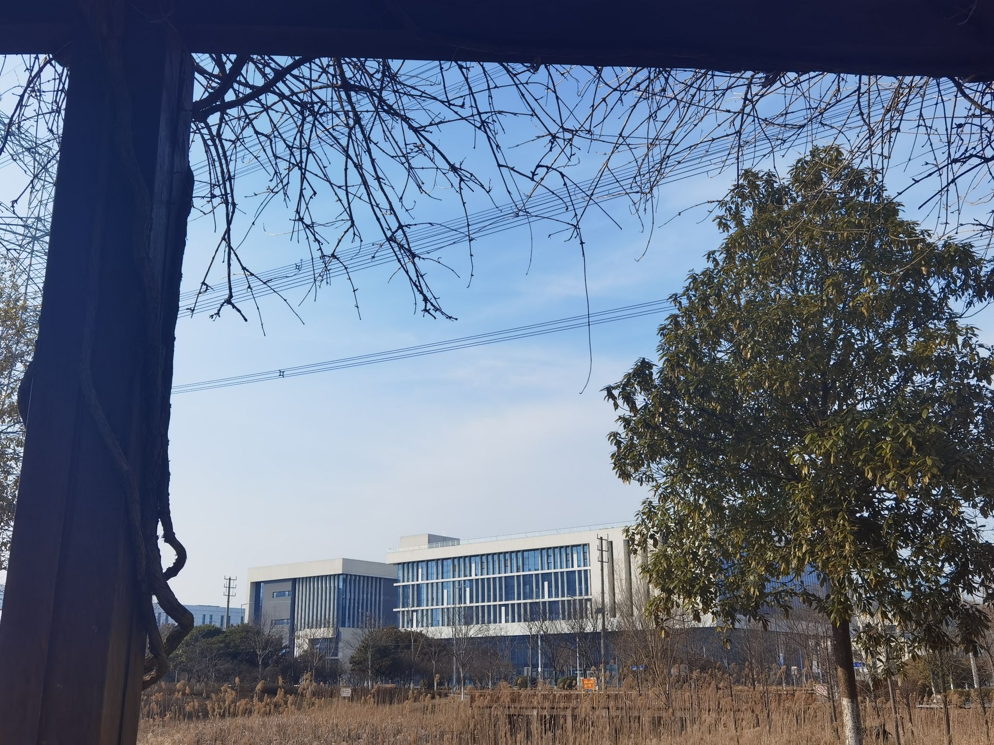 中国医药城中草药植物园旅行图片 1