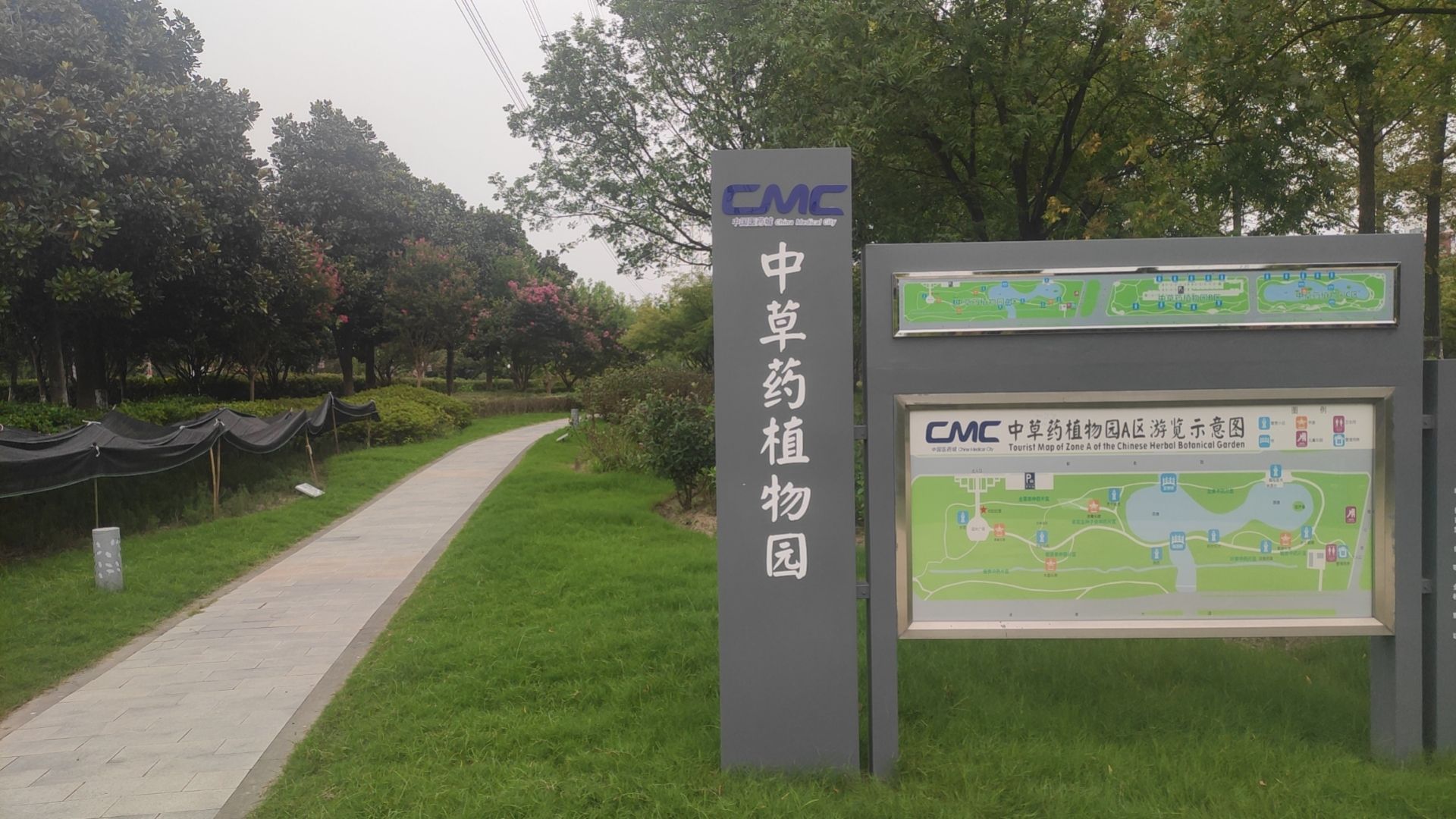 中国医药城中草药植物园旅行图片 1