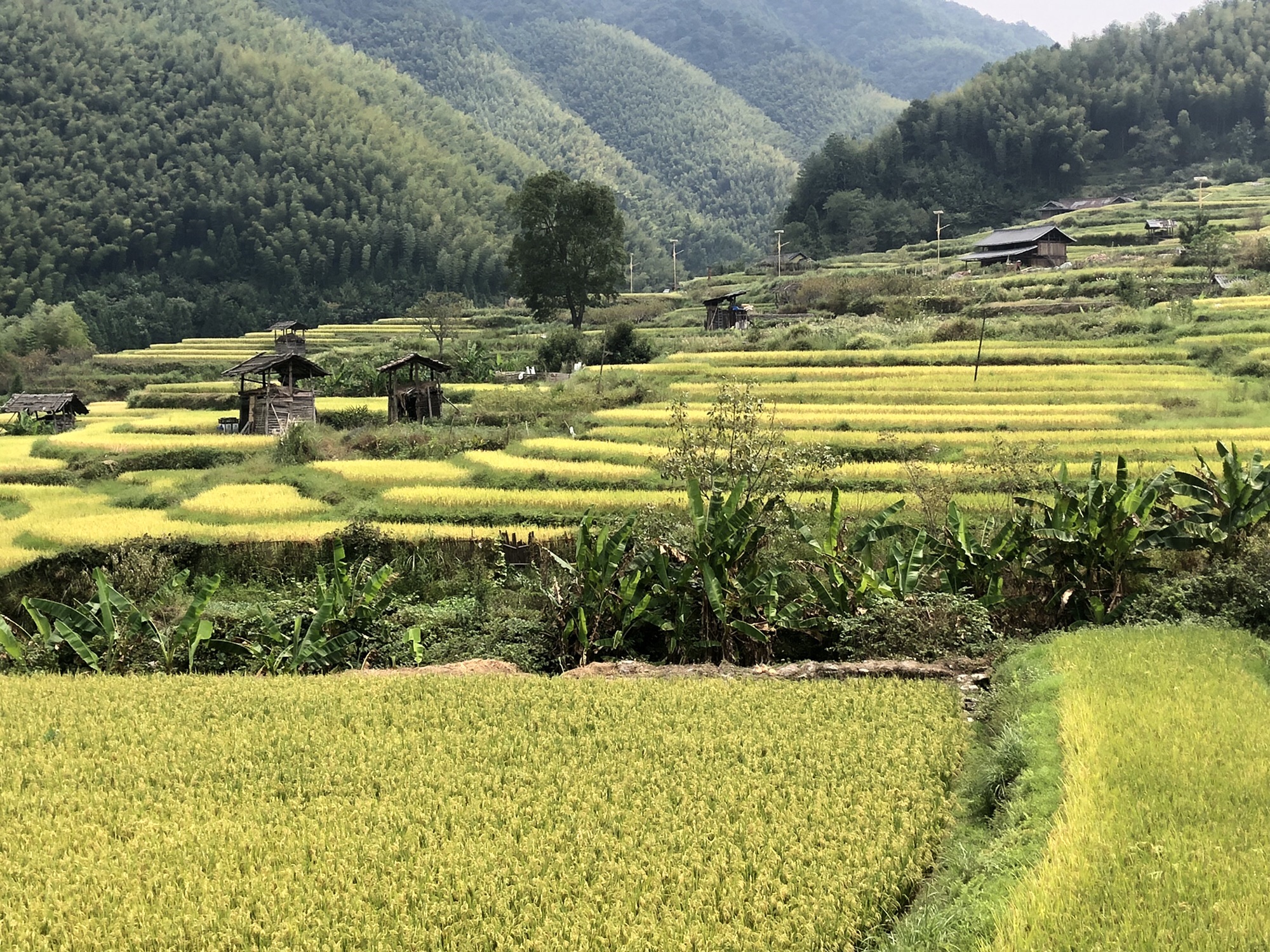 上堡侗寨旅行图片 2