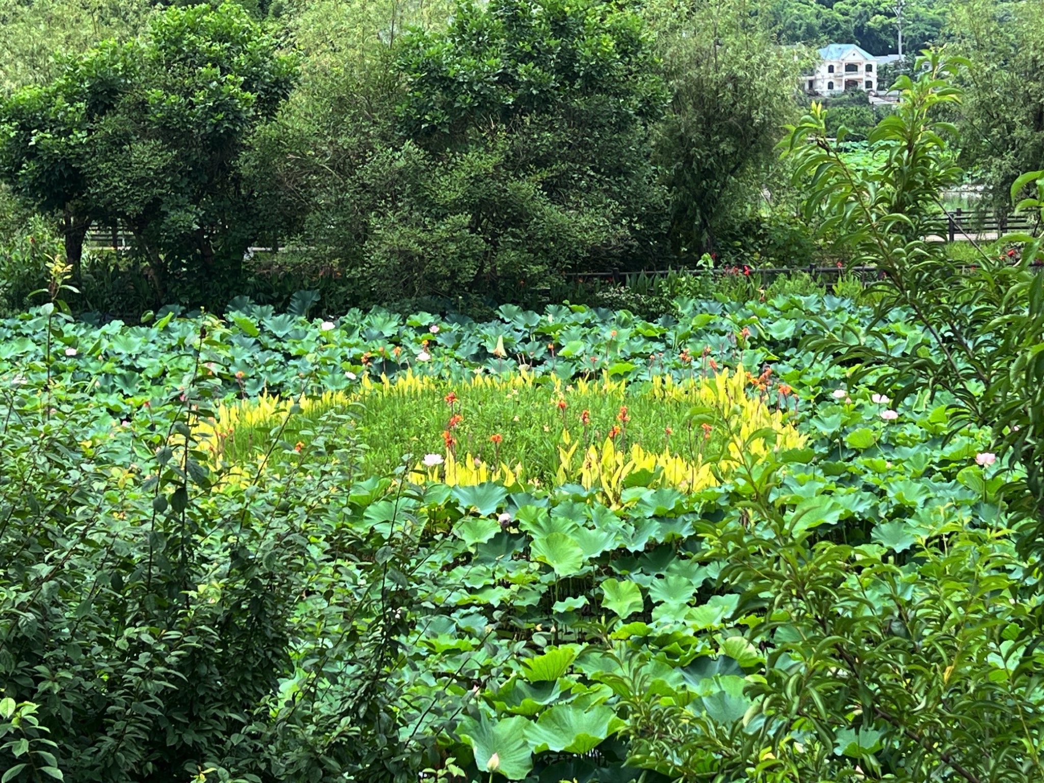 铜梁荷和原乡景区旅行图片 1