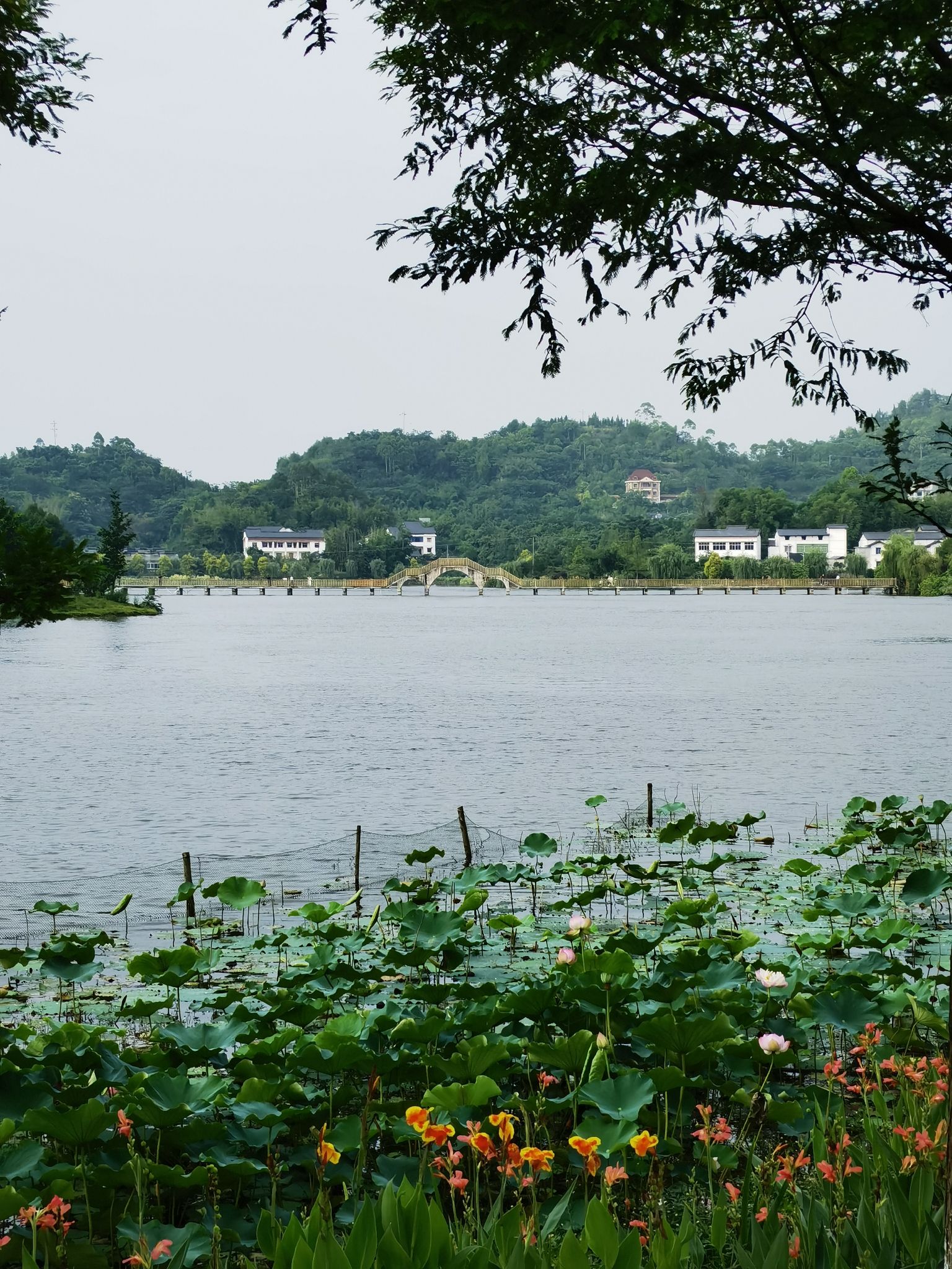 铜梁荷和原乡景区旅行图片 3