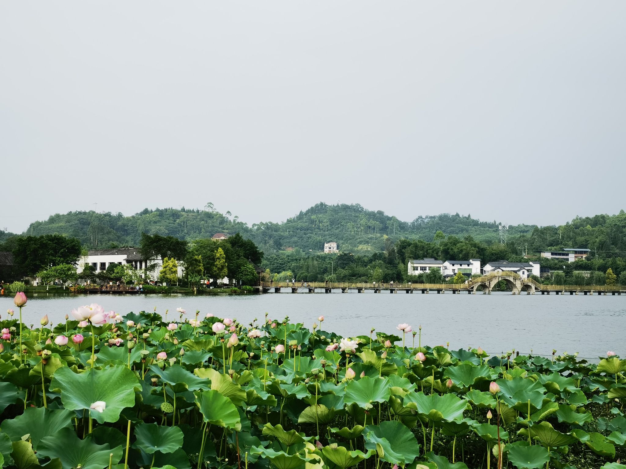 铜梁荷和原乡景区旅行图片 2