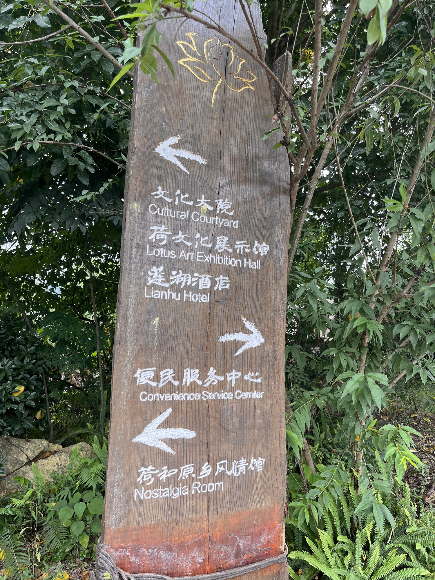 铜梁荷和原乡景区旅行图片 2