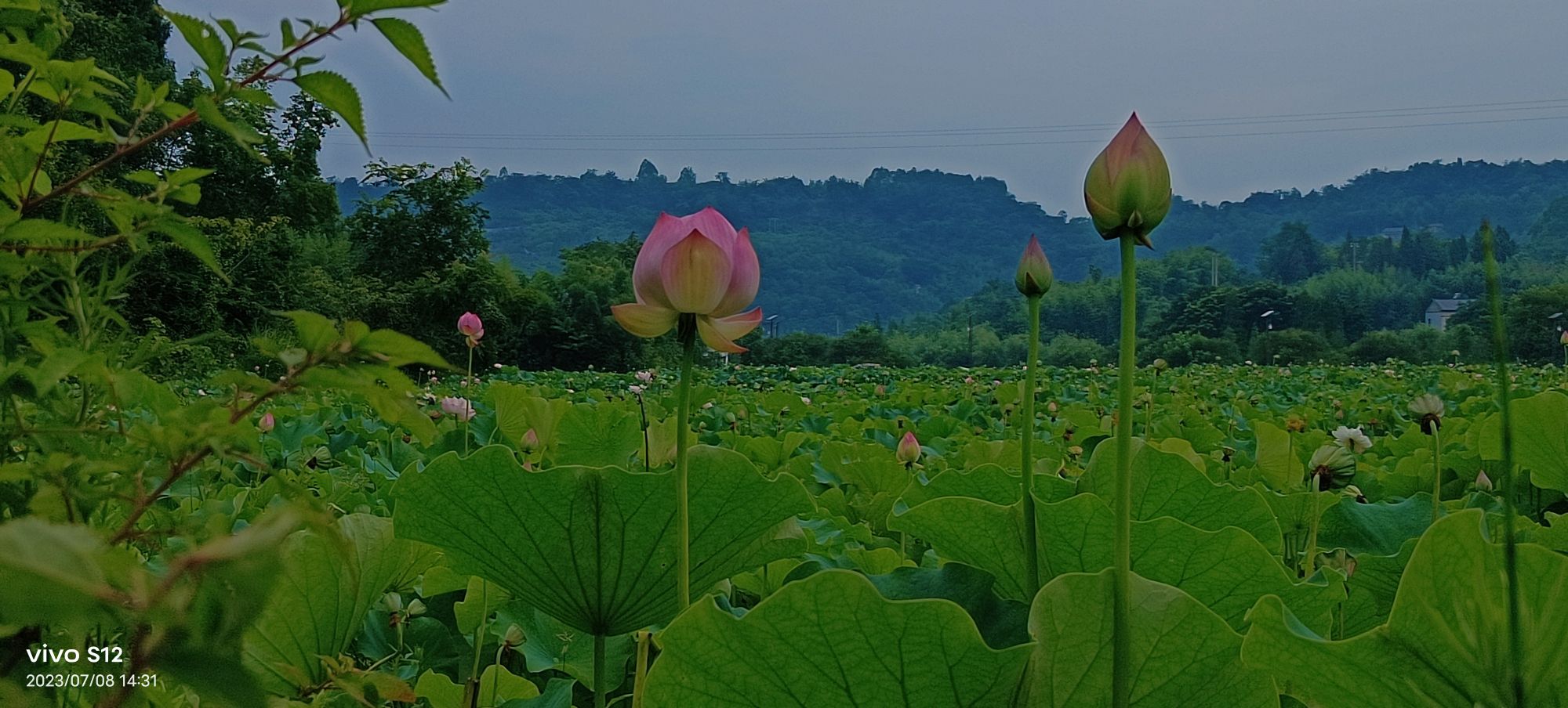 铜梁荷和原乡景区