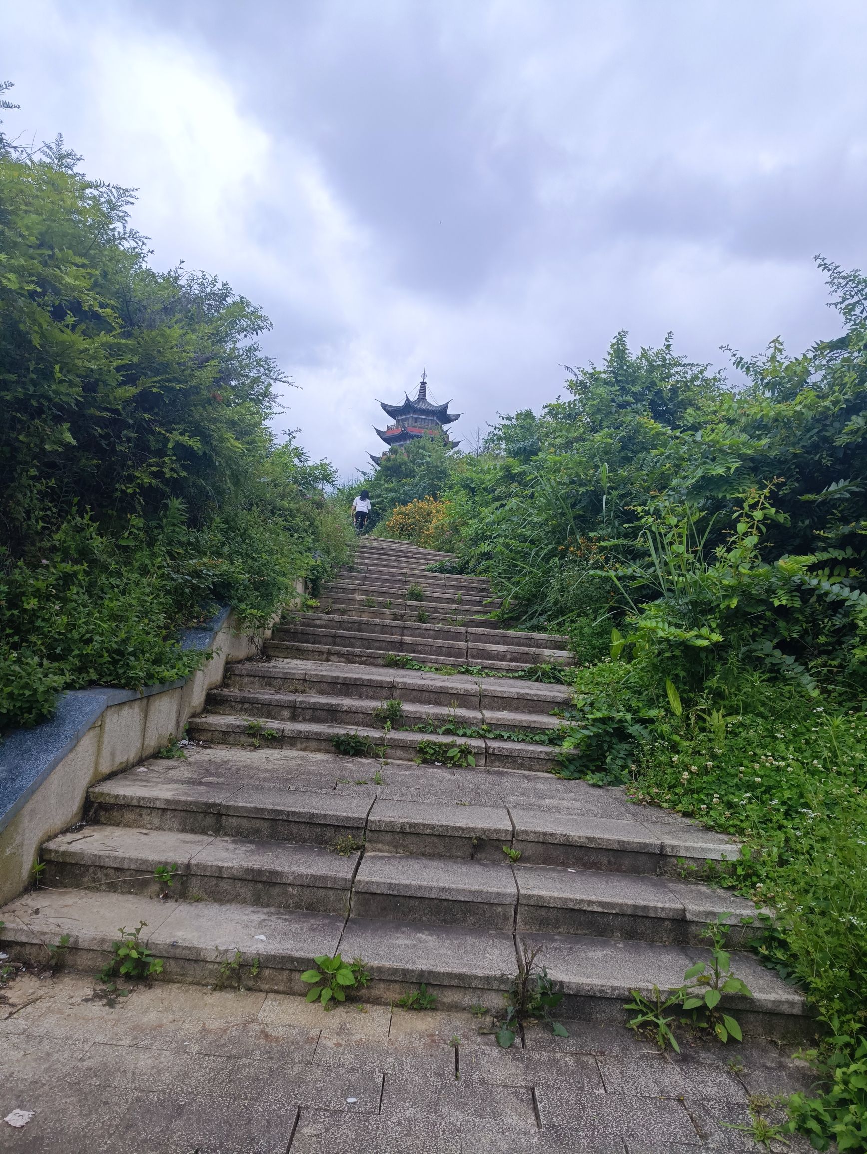 阳明山体公园旅行图片 1
