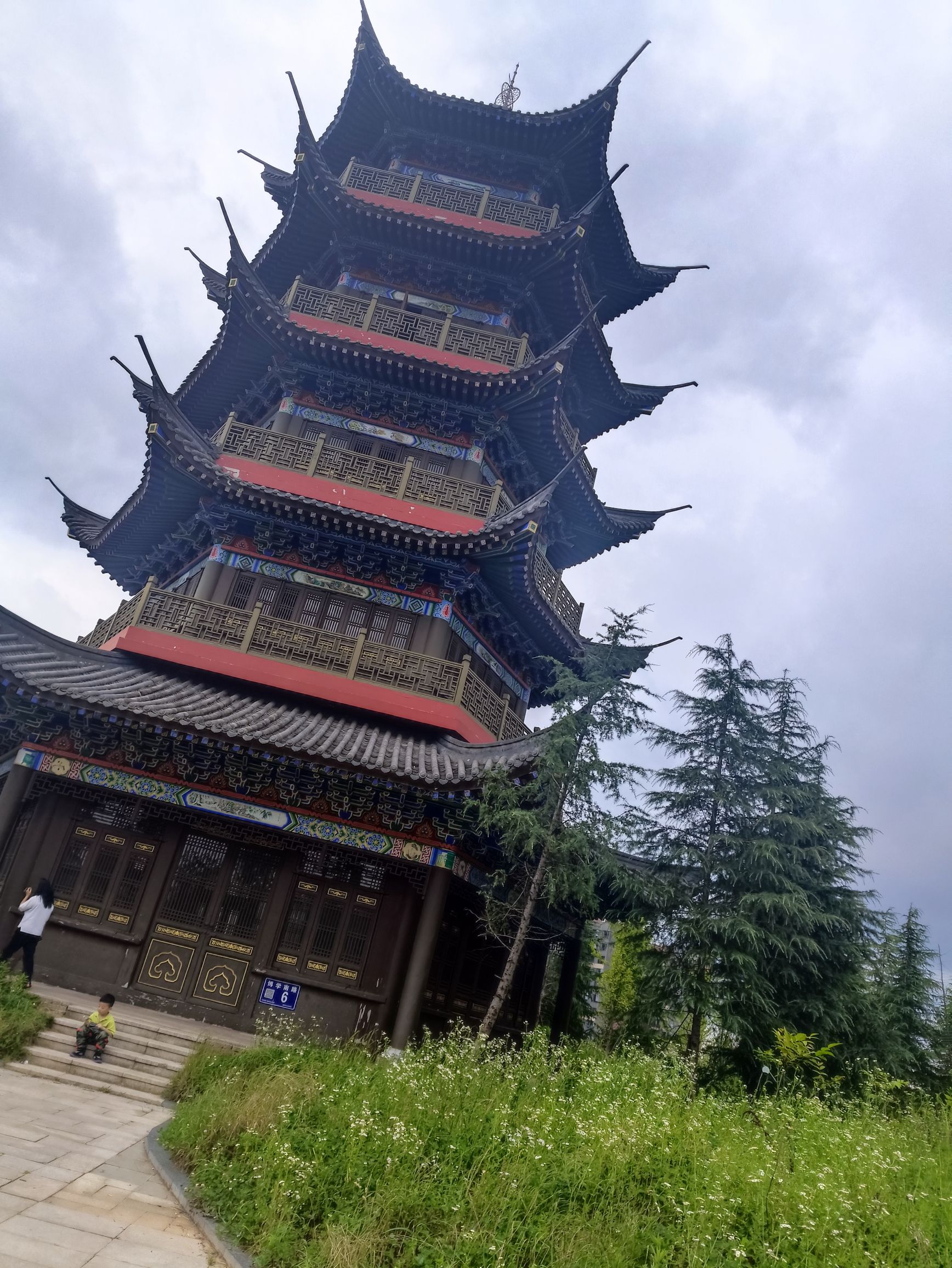 阳明山体公园旅行图片 2