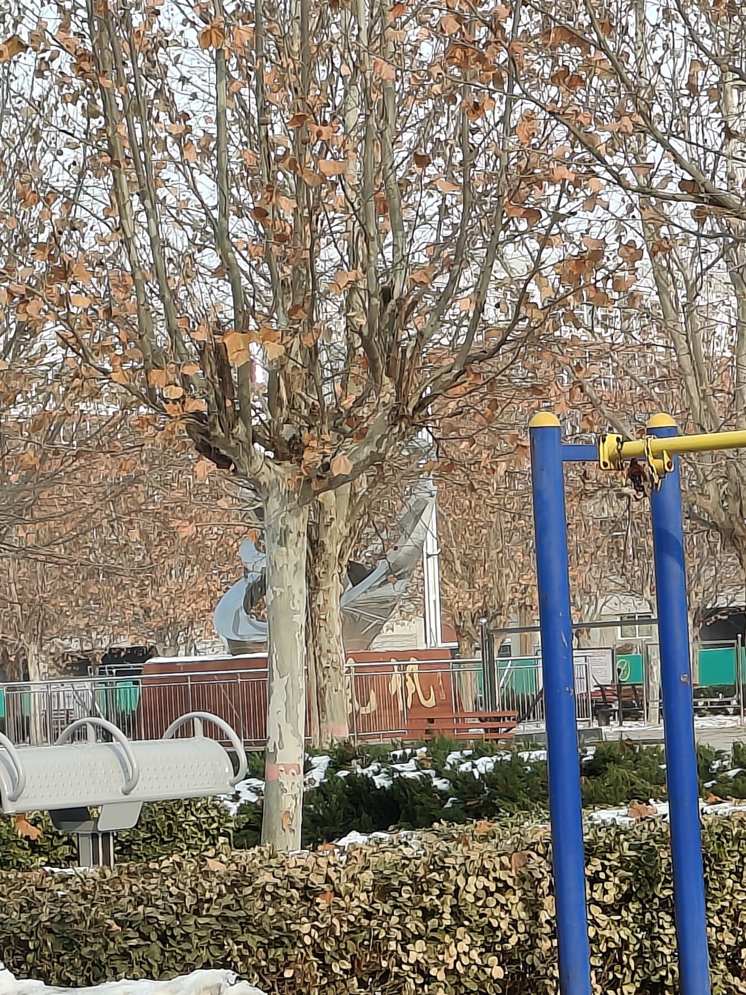 中兴广场旅行图片 3
