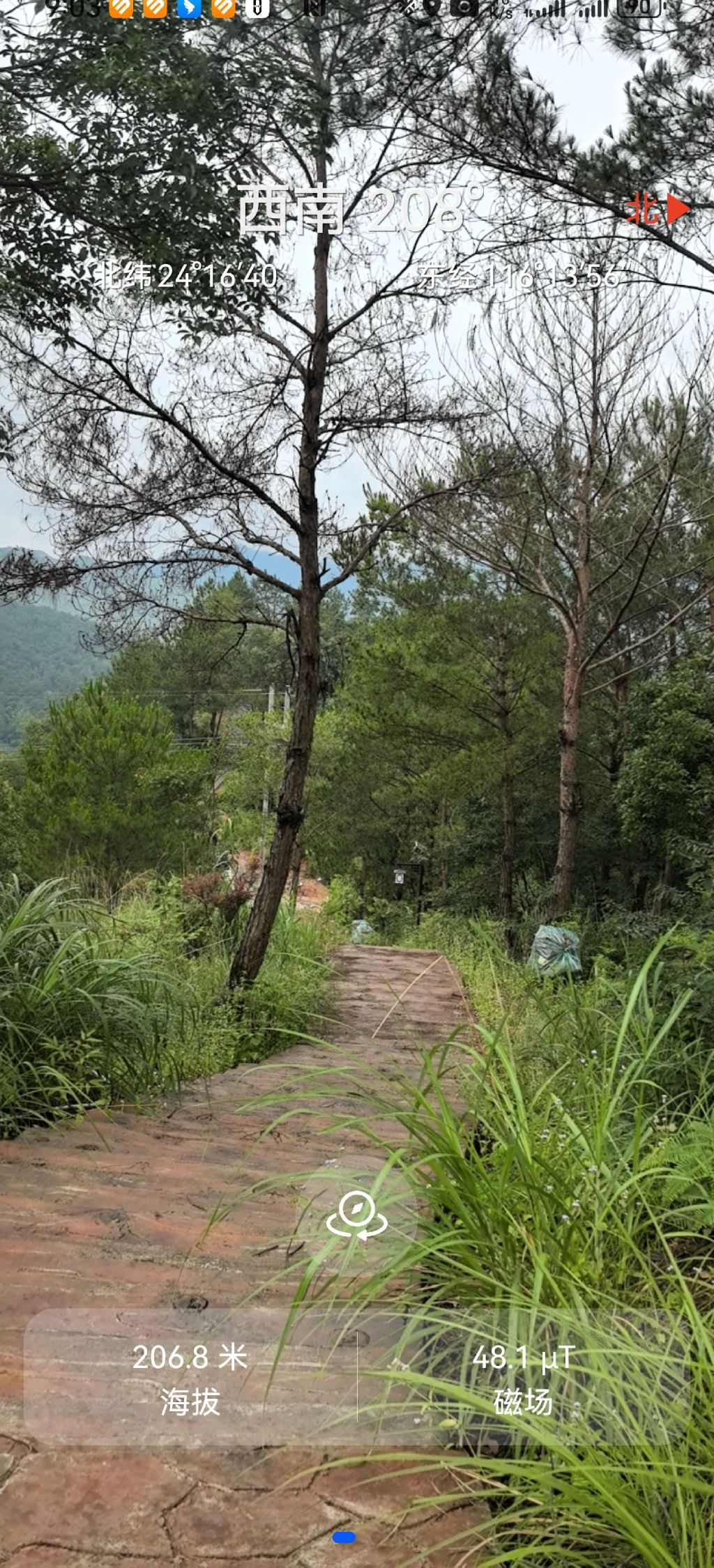 西阳生态公园旅行图片 2