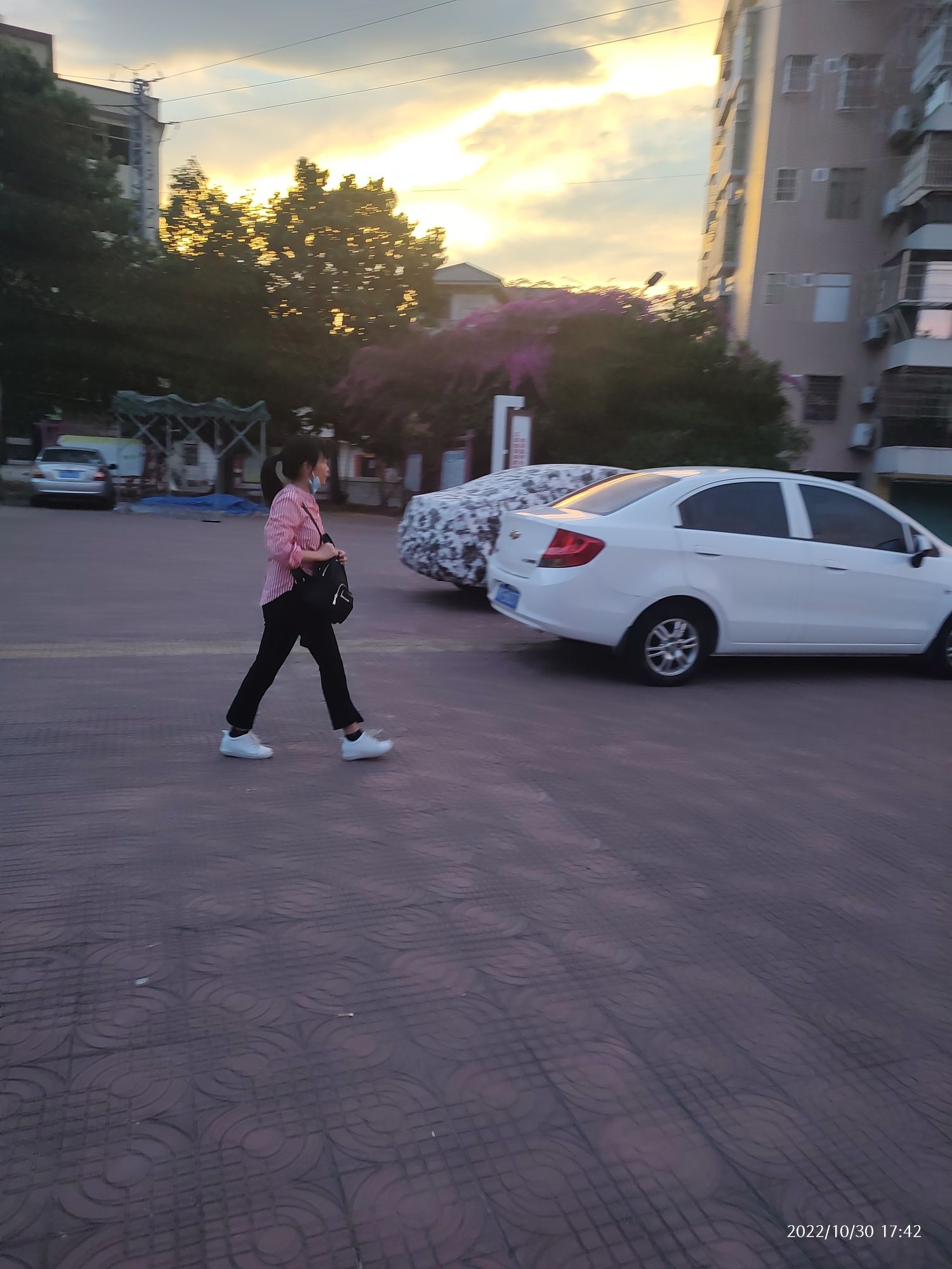 西阳生态公园旅行图片 3