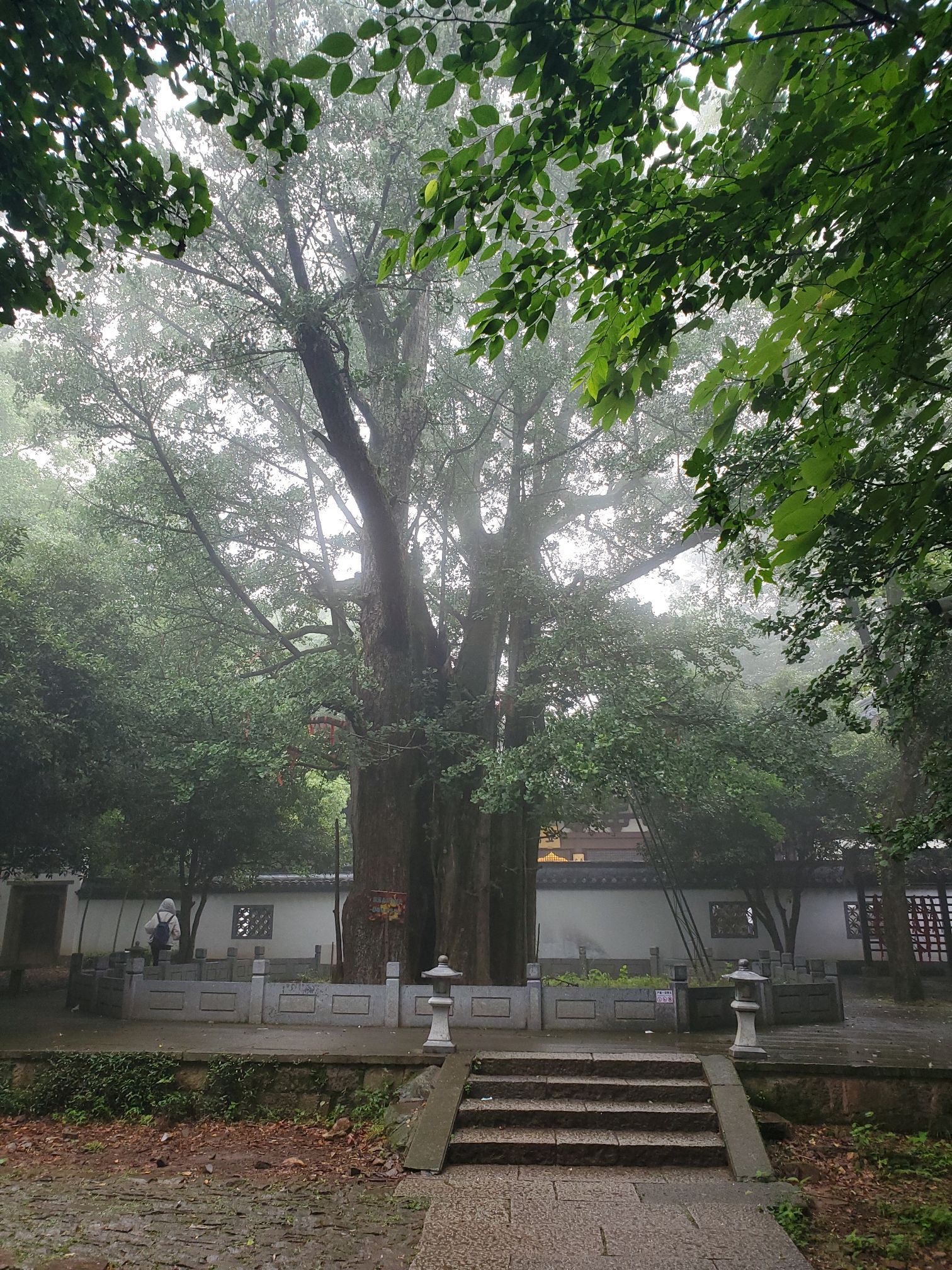 真际院