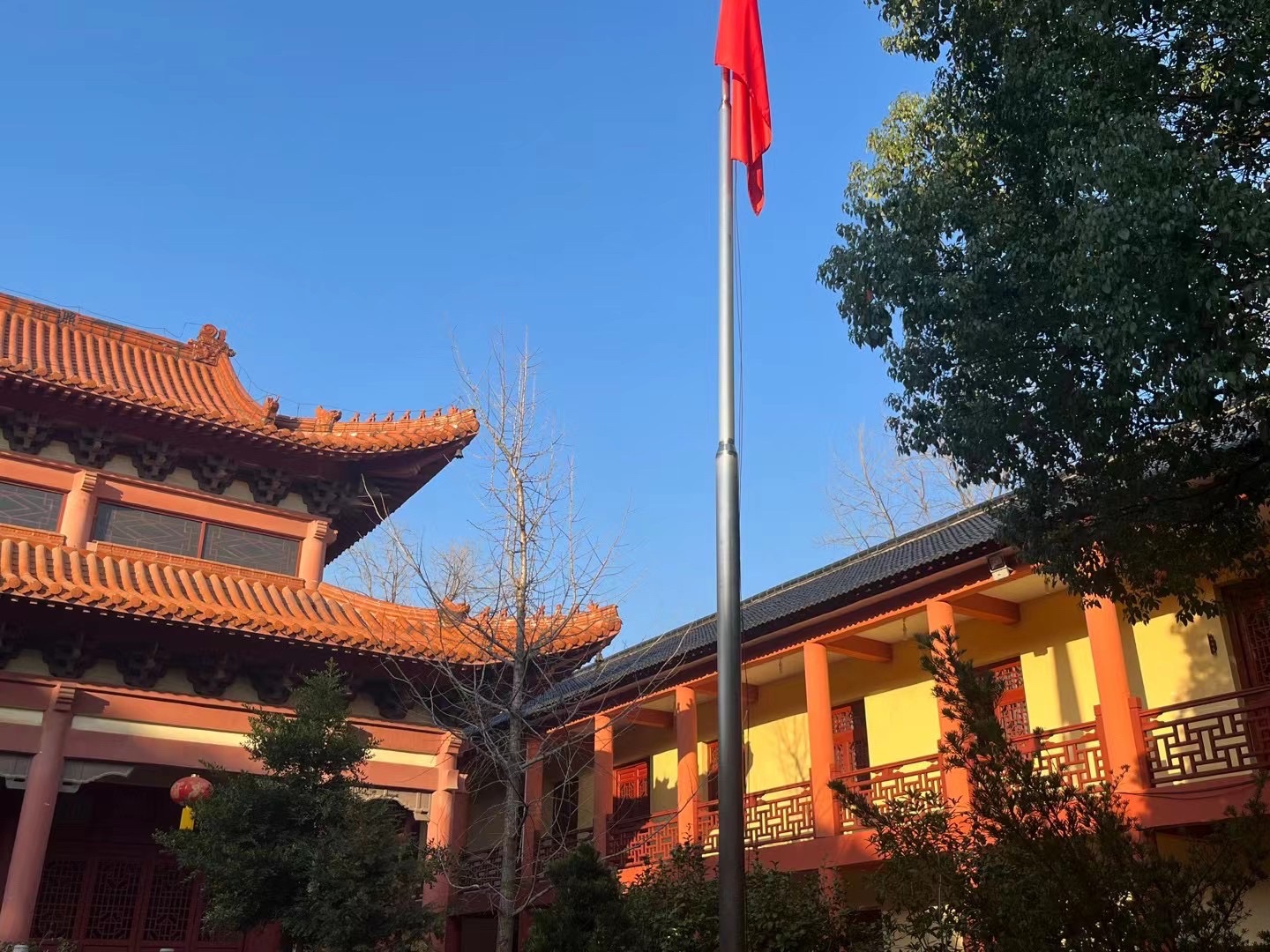 磨盘洲湿地公园旅行图片 3