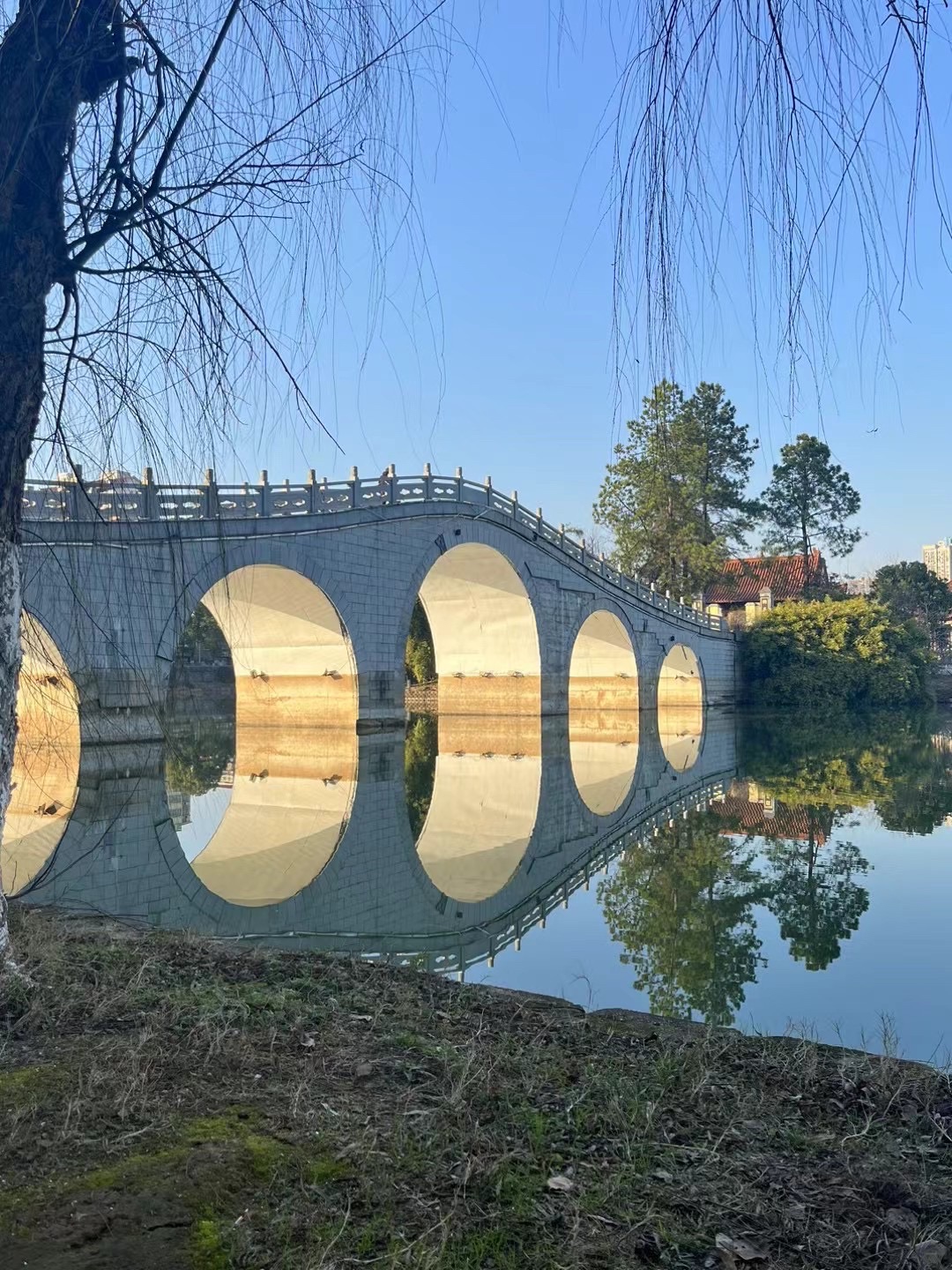 磨盘洲湿地公园旅行图片 2