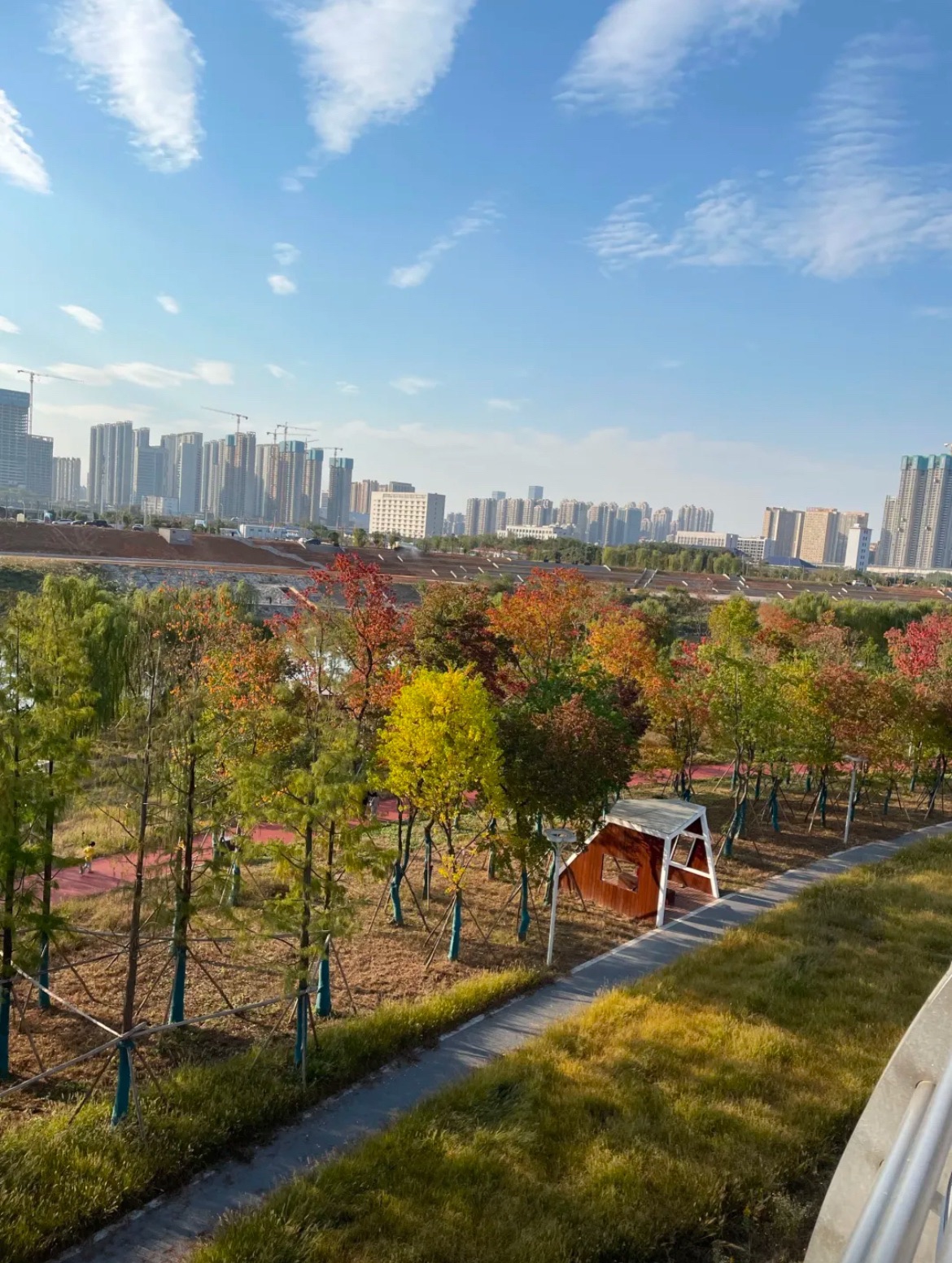 磨盘洲湿地公园旅行图片 3