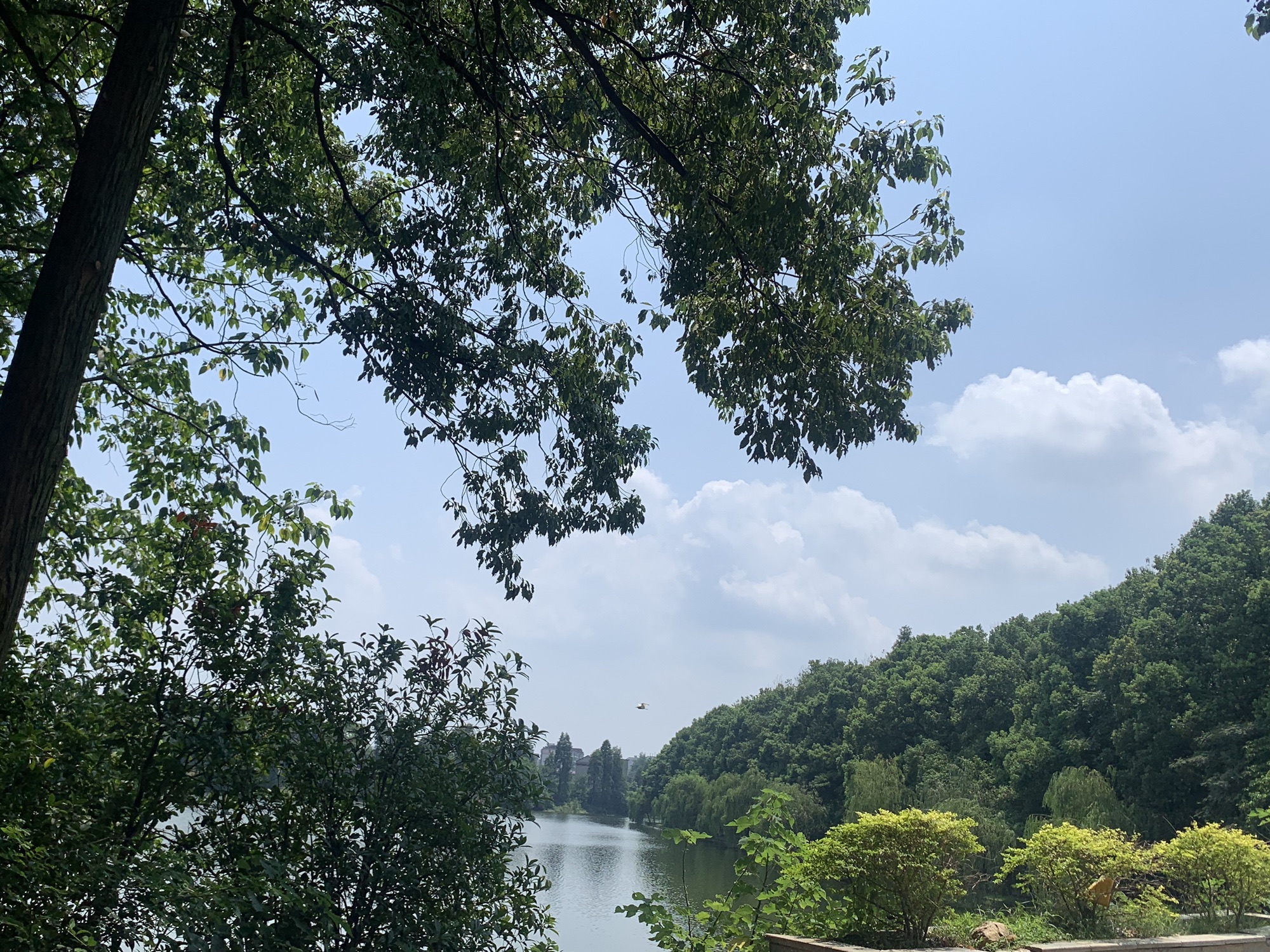 磨盘洲湿地公园旅行图片 2