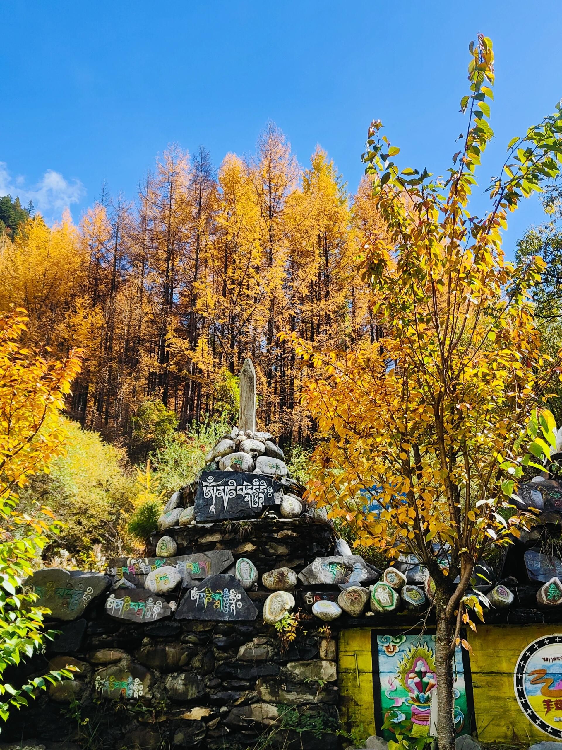 奶子沟彩林公园景区-羊茸哈德旅行图片 3