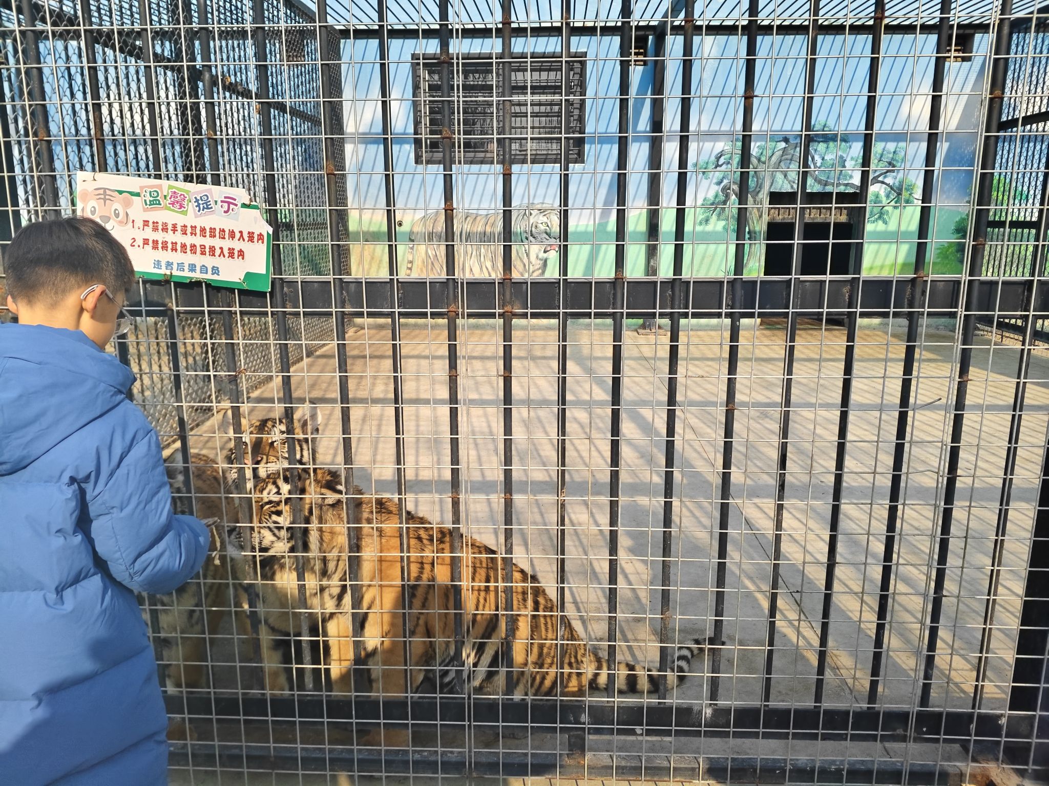梅庄百虎园旅行图片 2