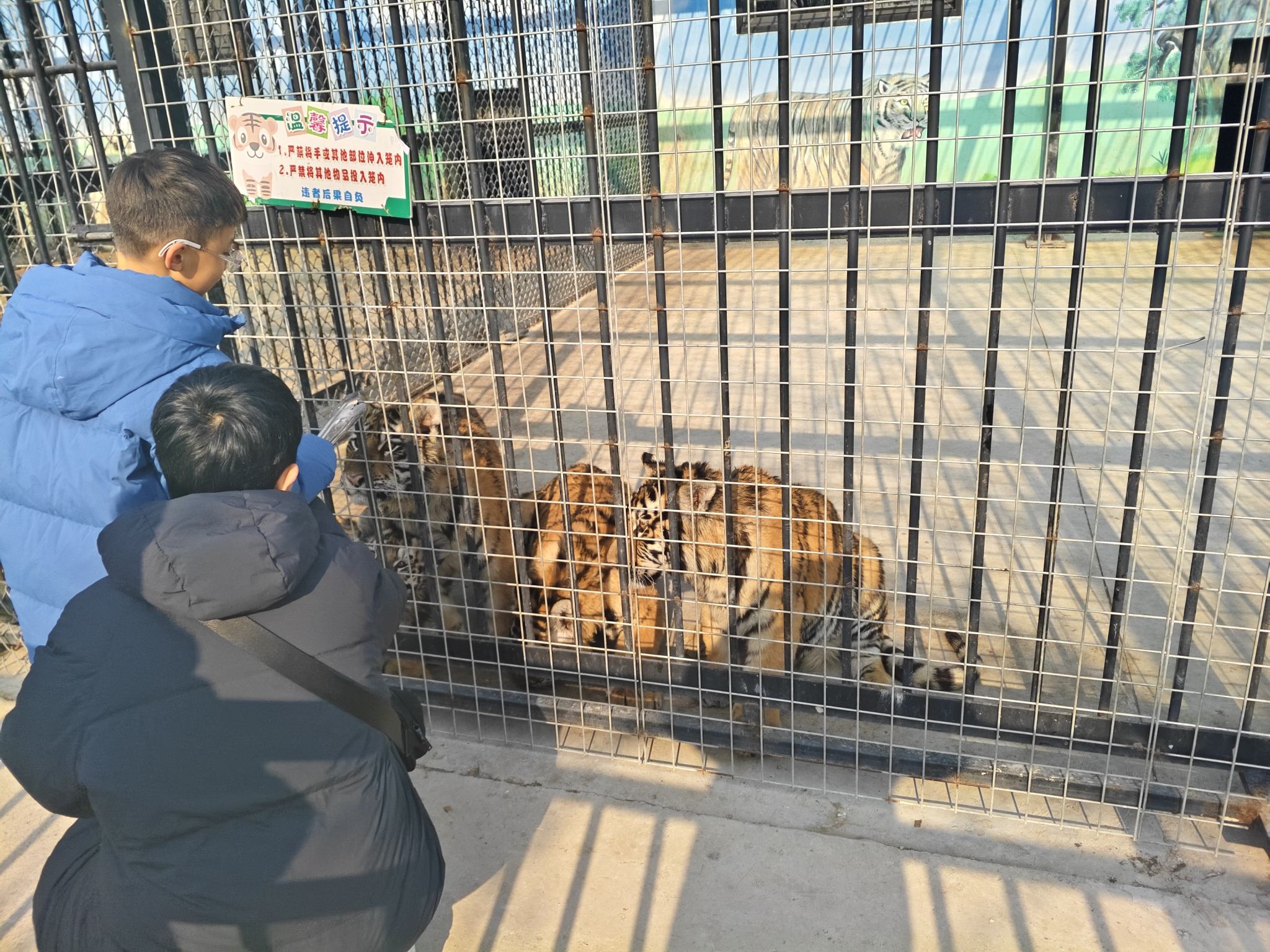 梅庄百虎园旅行图片 1