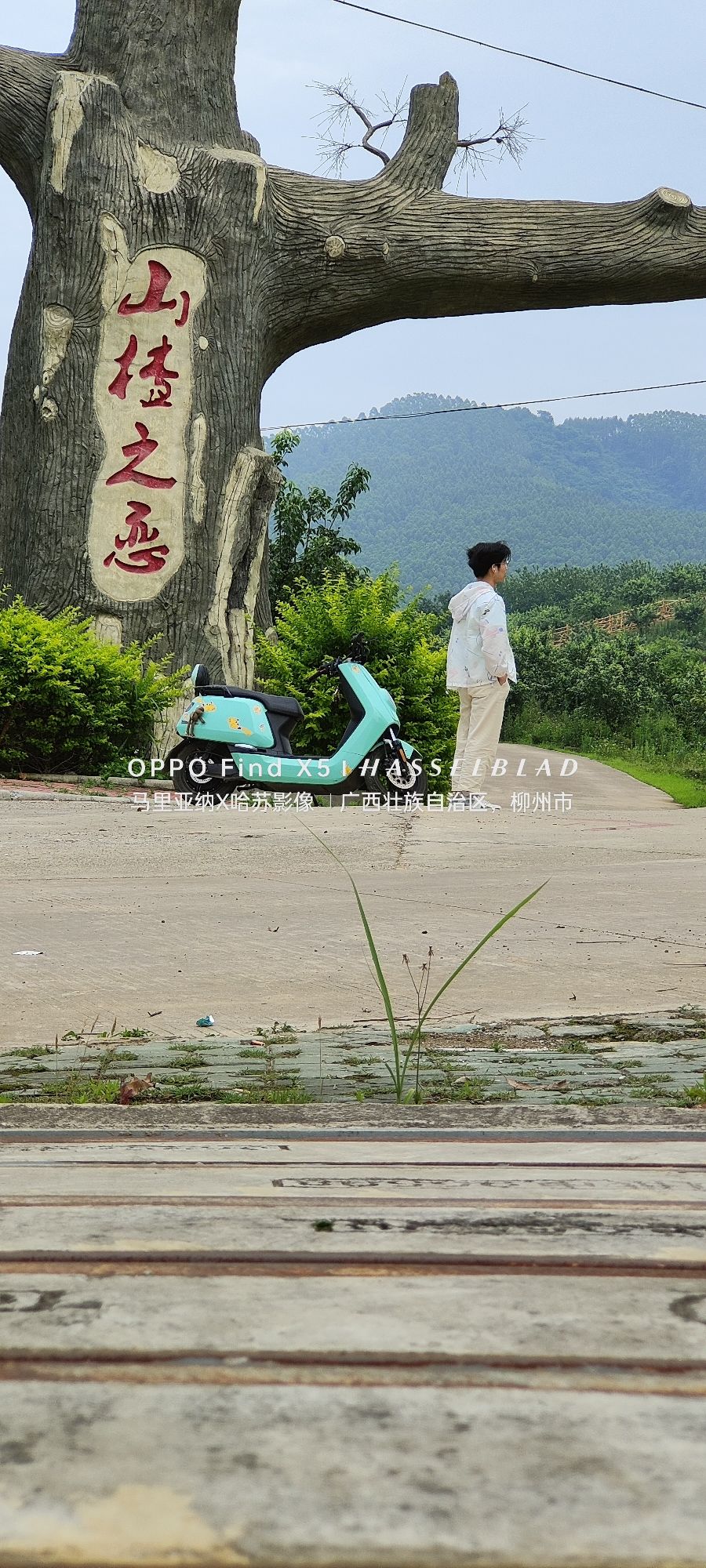 山楂之恋旅行图片 2