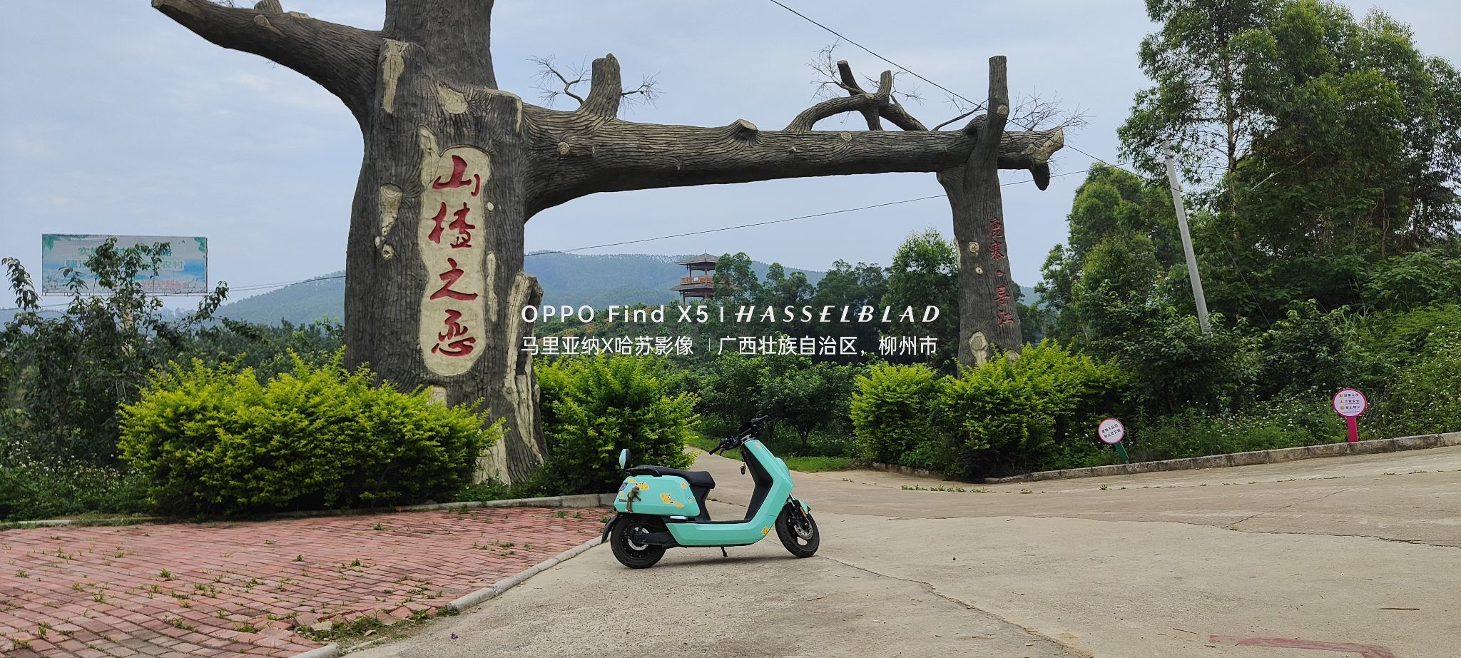 山楂之恋旅行图片