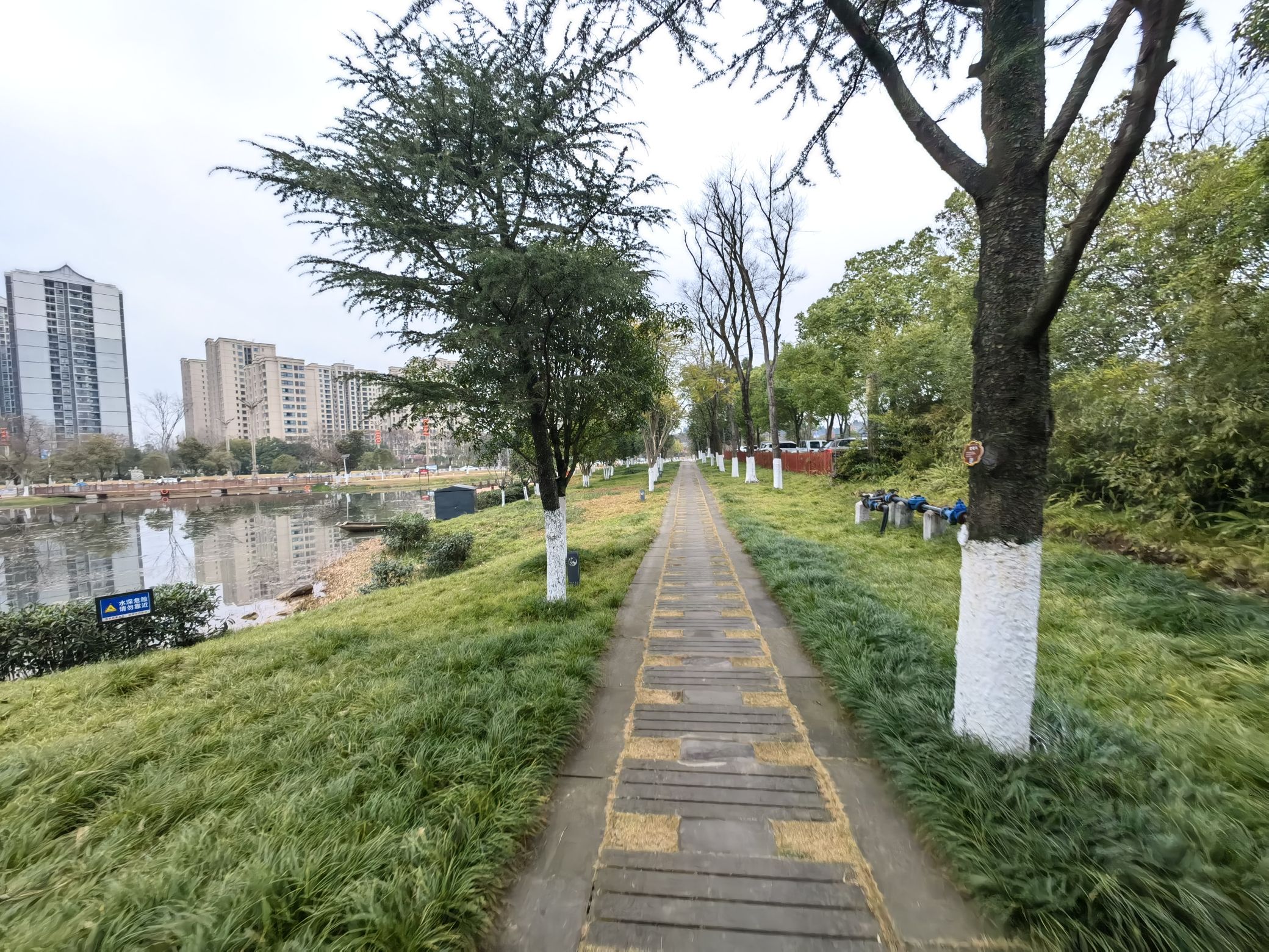同心公园旅行图片 2