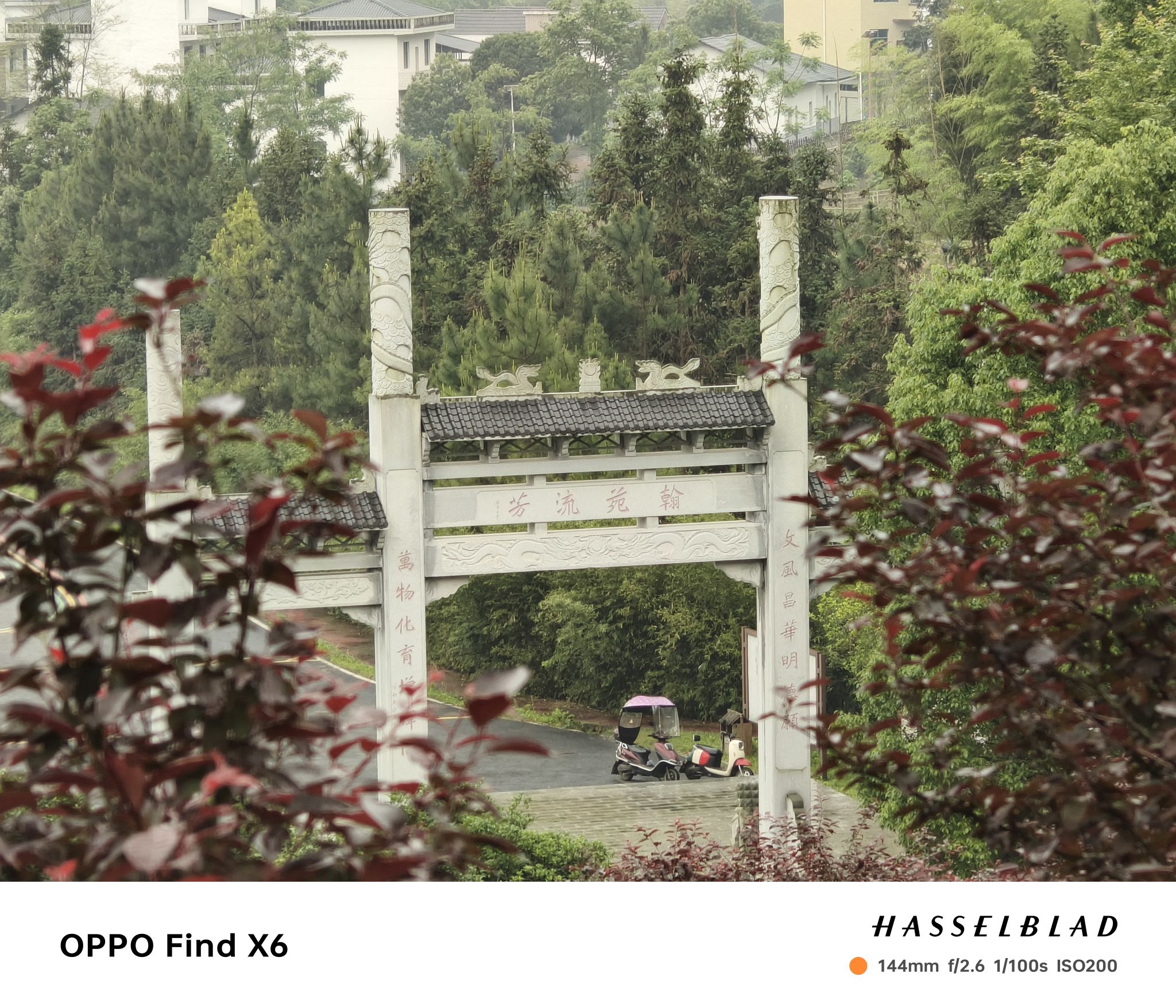 枣木山公园旅行图片 3