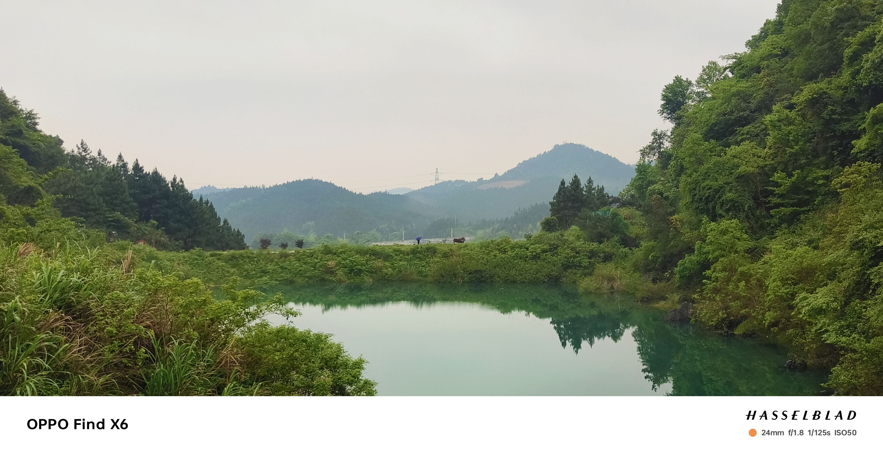 枣木山公园旅行图片 2