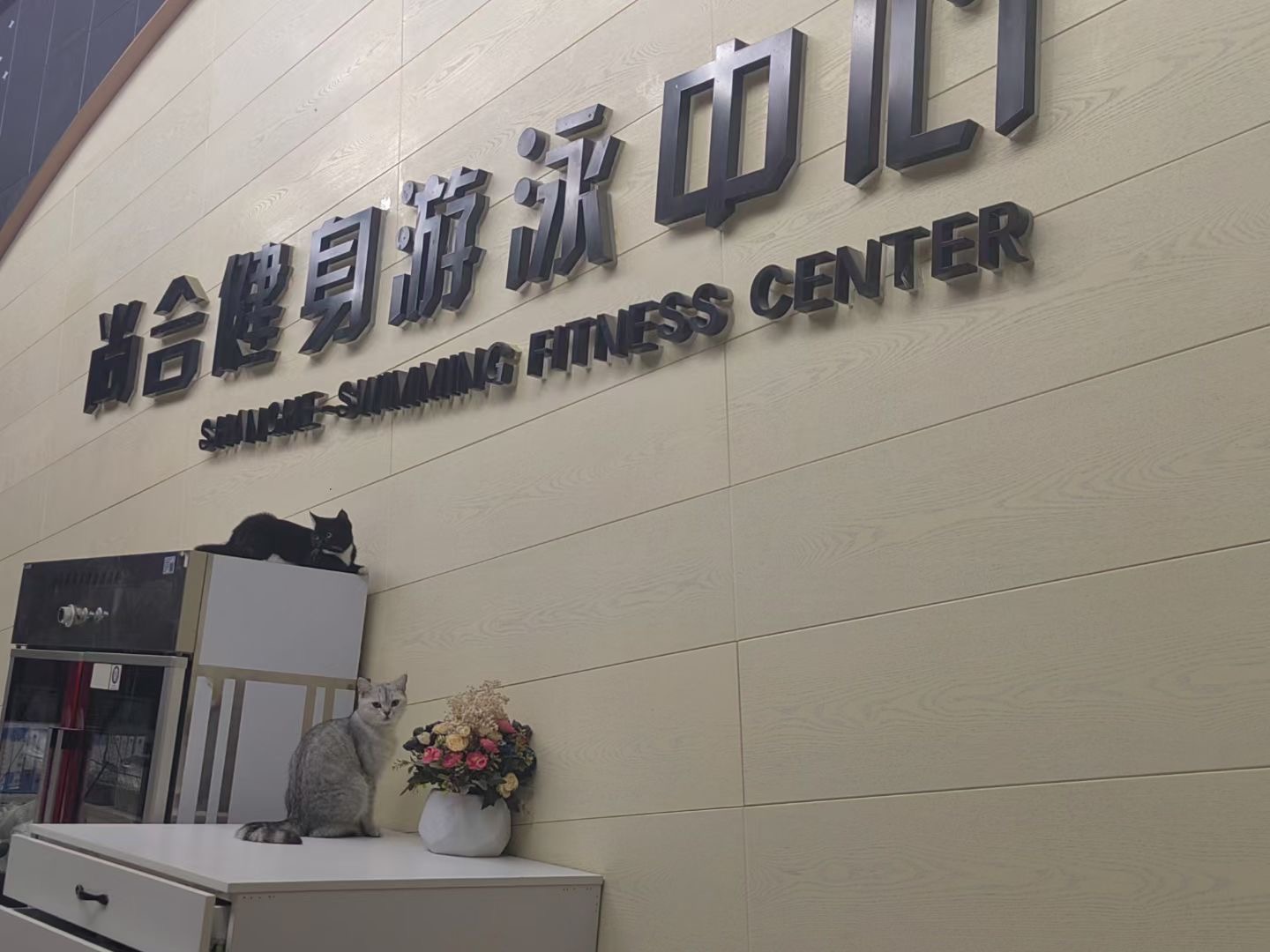 尚合健身游泳中心