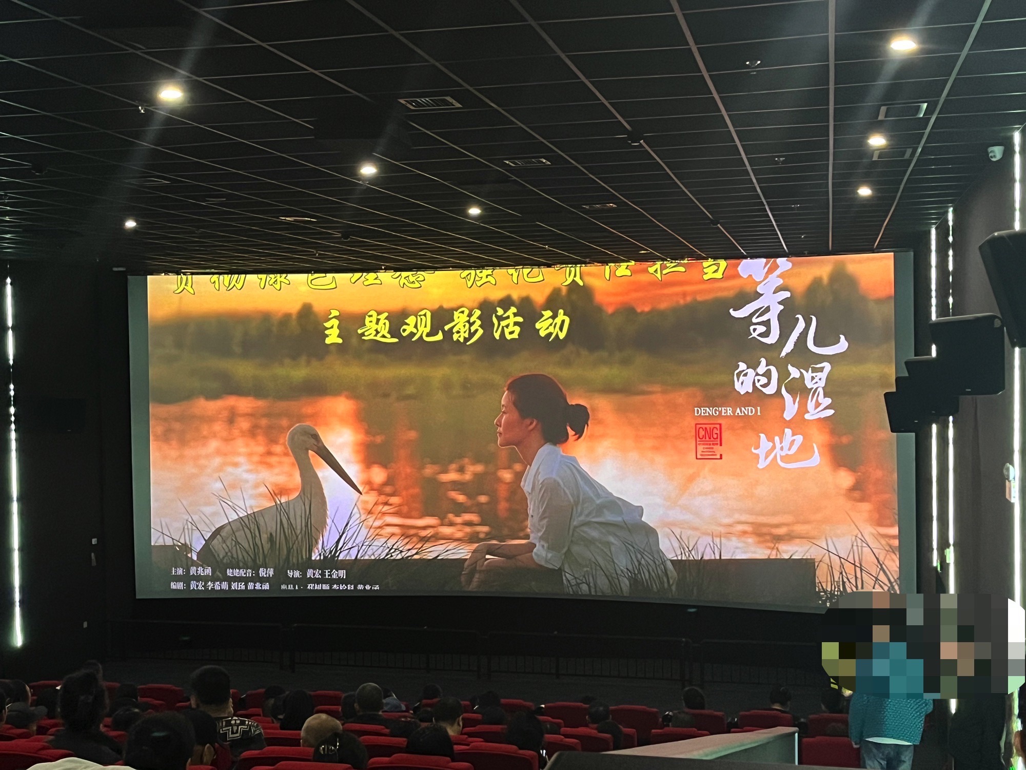 中影中数国际影城(虎林店)
