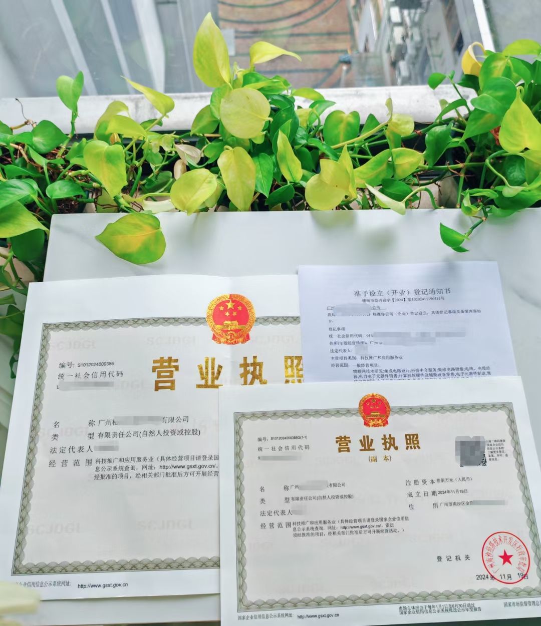 广州金铄铄商务服务(集团)有限公司