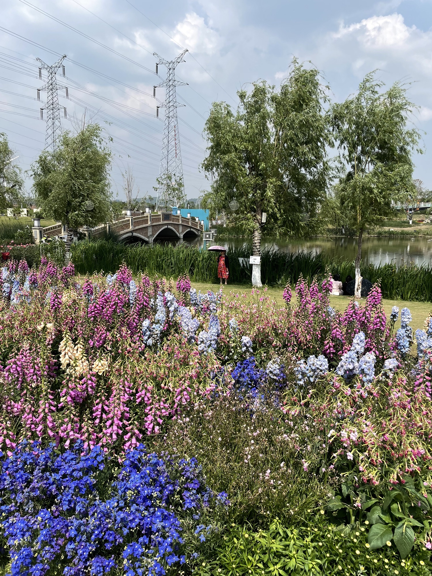柳梢堰快乐公园旅行图片 1