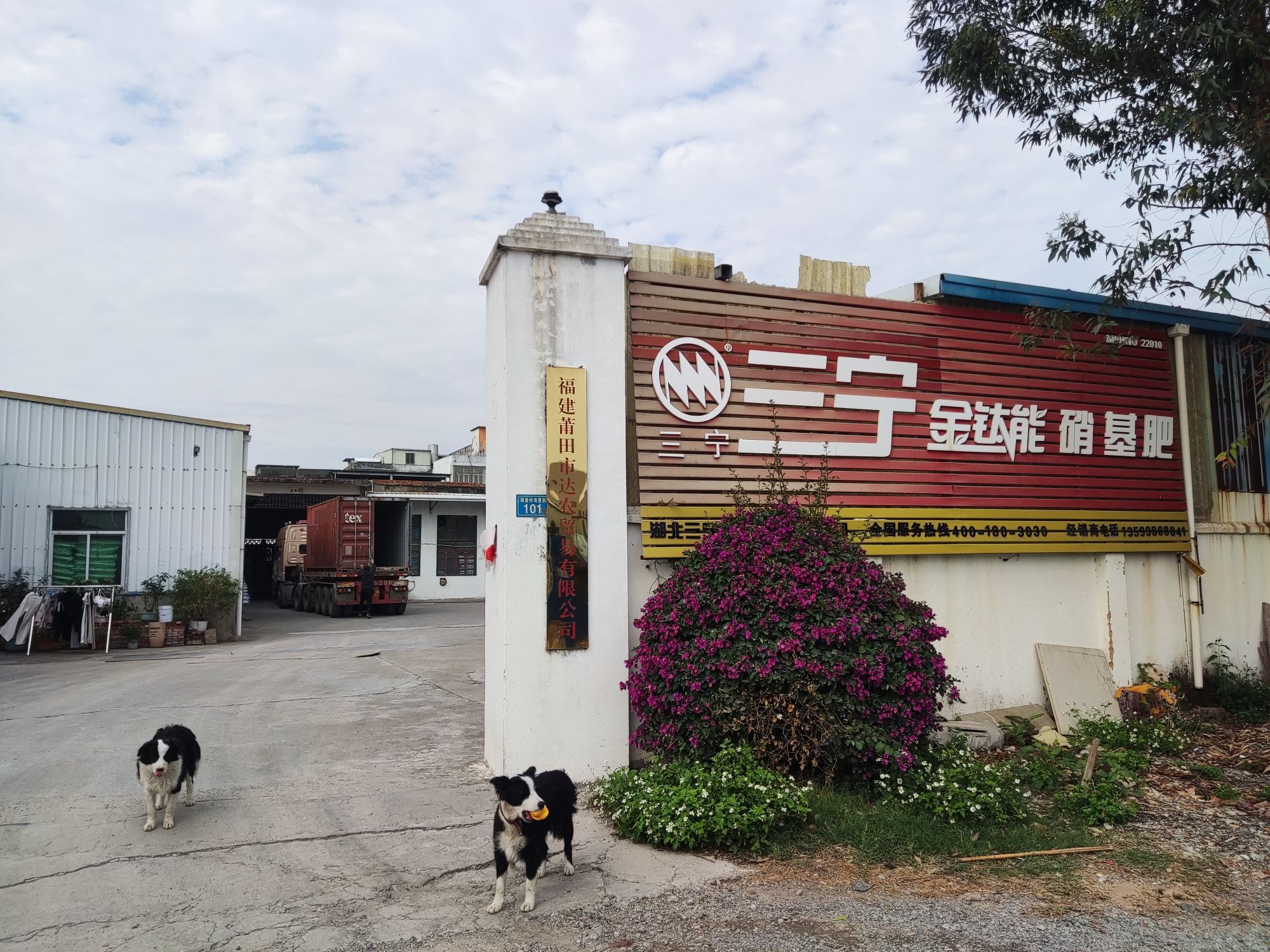 莆田市农达贸易农药肥料零售批发