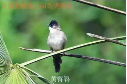 湖南五强溪国家湿地公园旅行图片 3