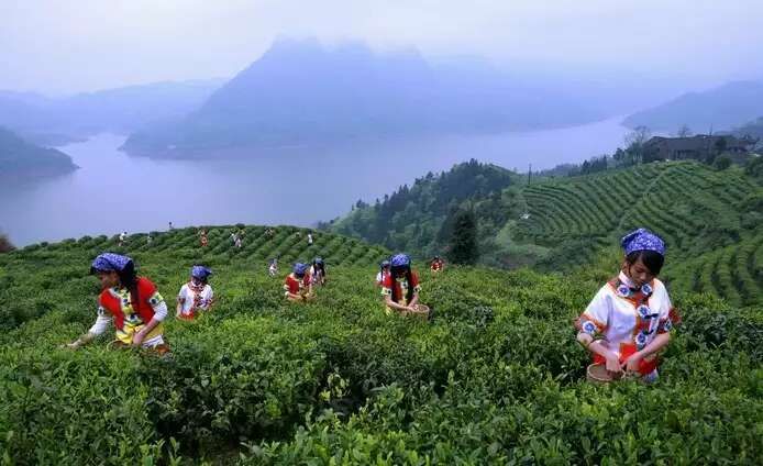 湖南五强溪国家湿地公园旅行图片 2