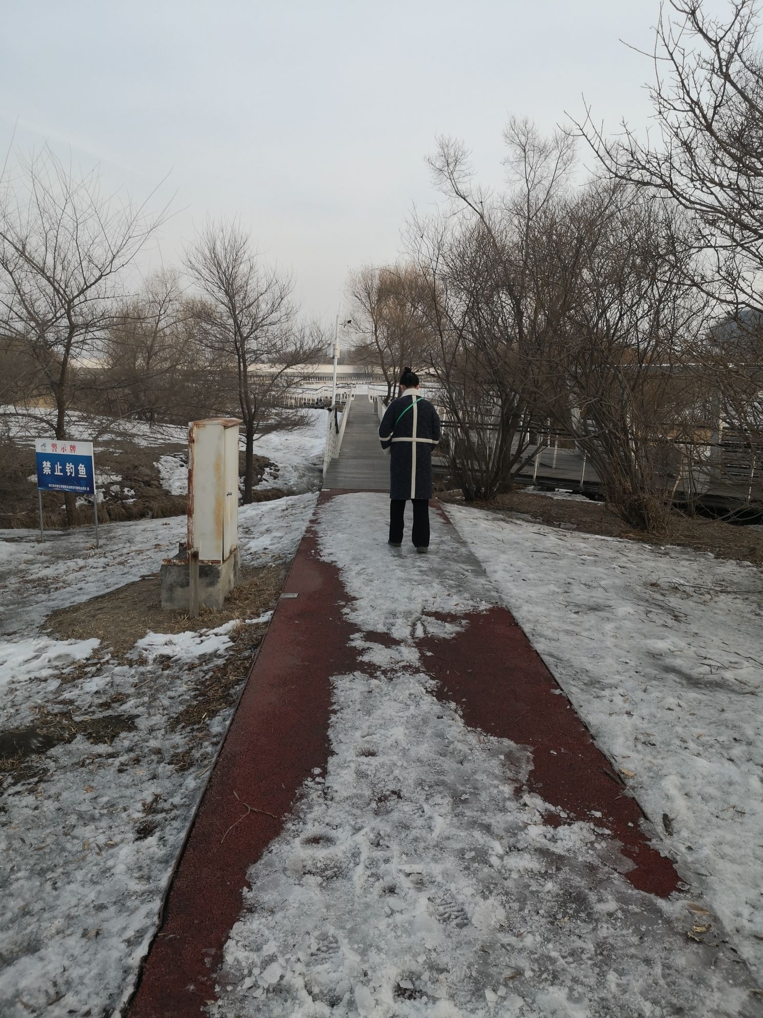 哈尔滨文化中心公园旅行图片 3
