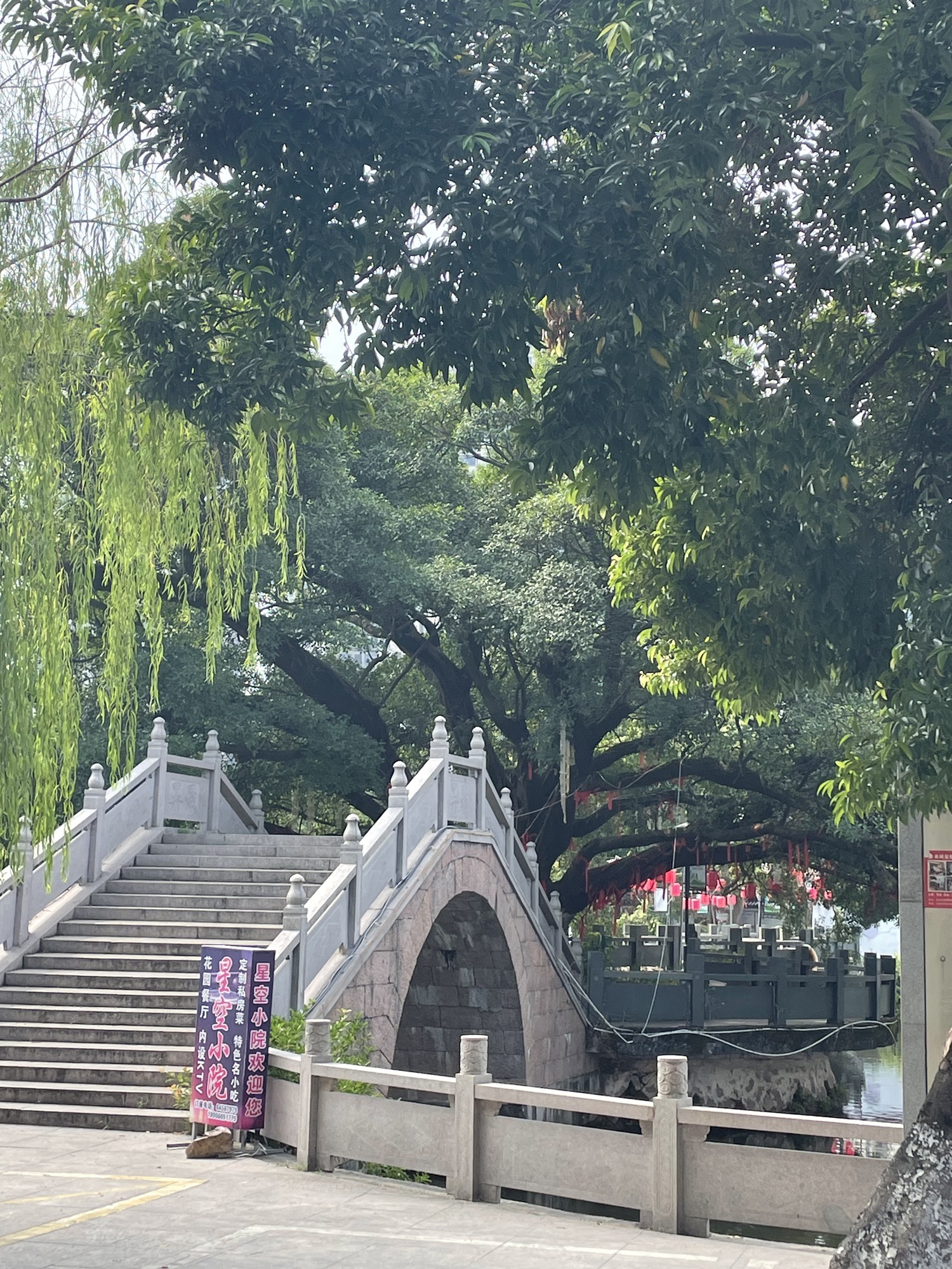 河心岛公园旅行图片 3