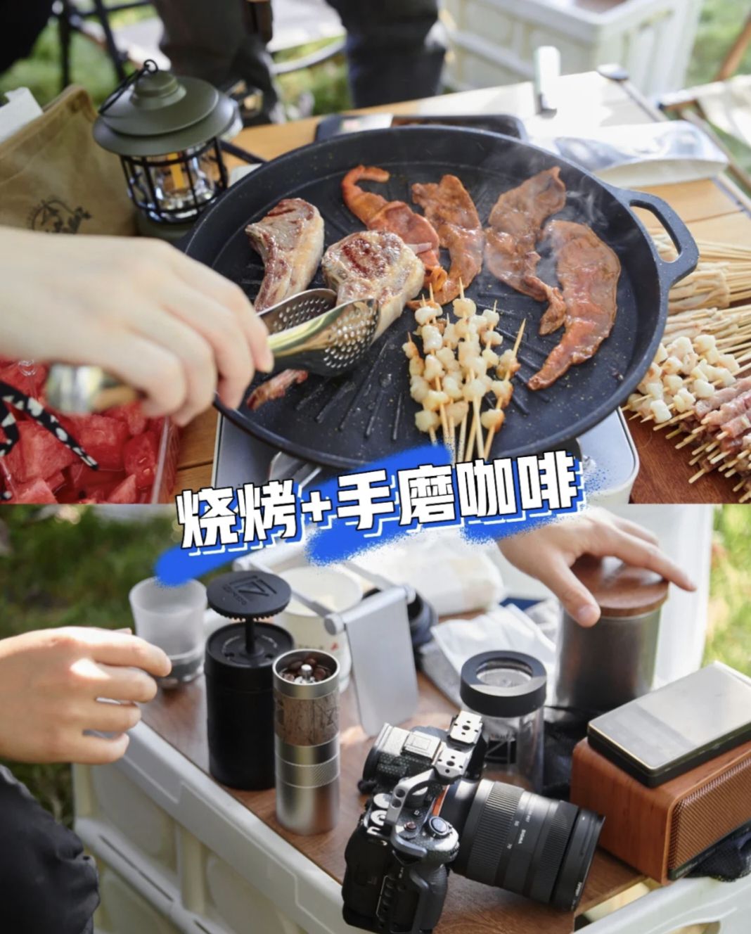 王仙湖旅行图片 3