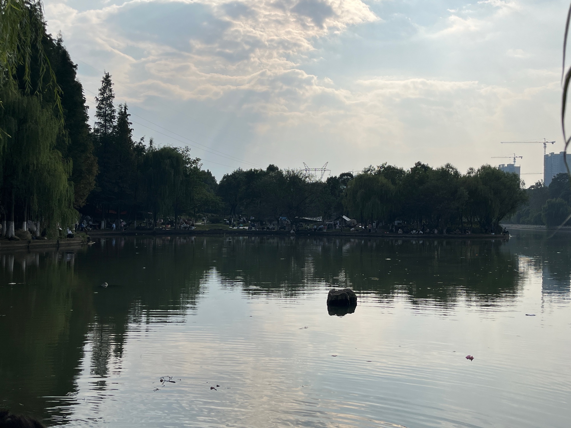 王仙湖旅行图片 2