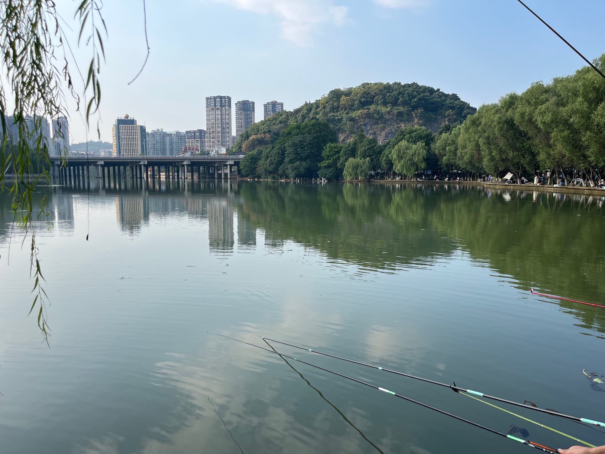 王仙湖旅行图片 1