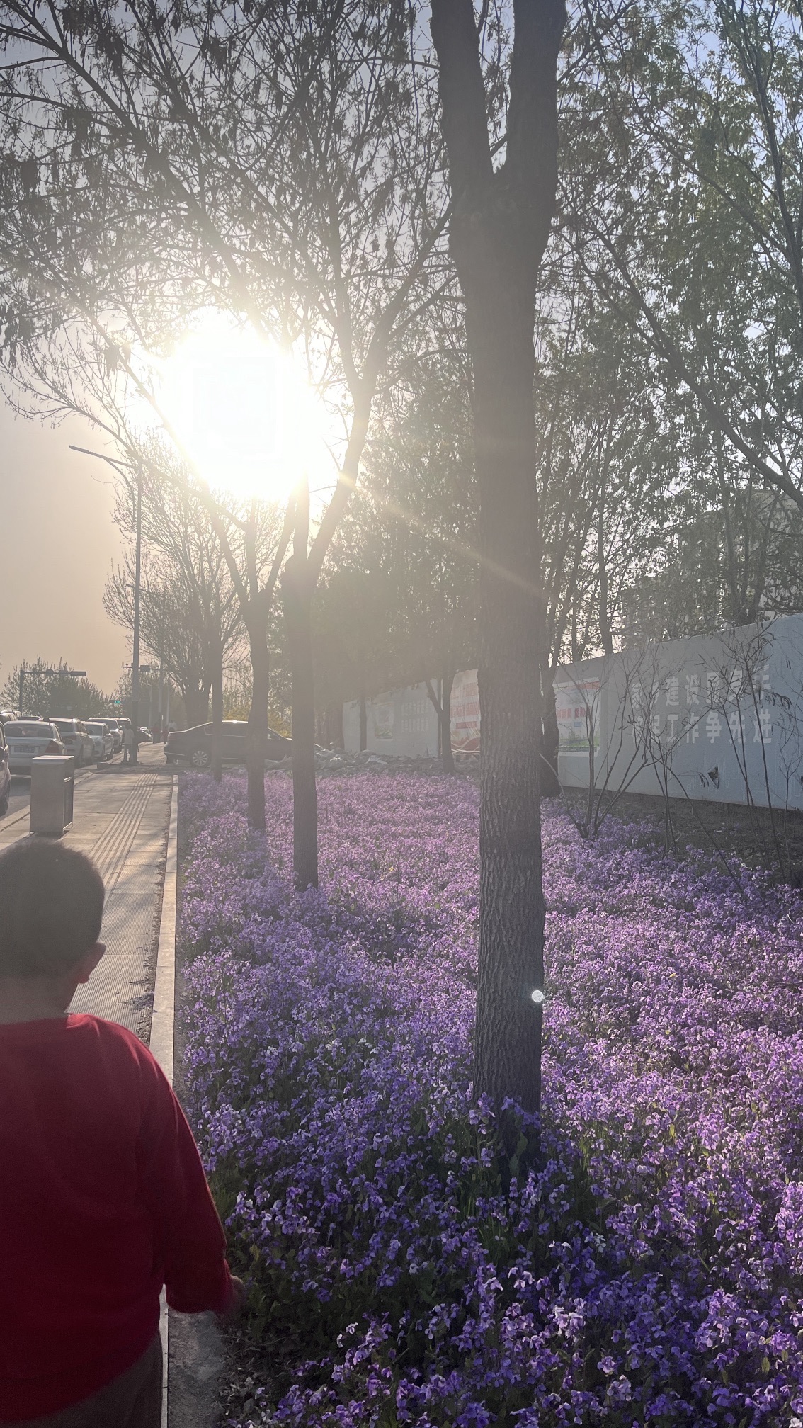 支脉河公园旅行图片 2