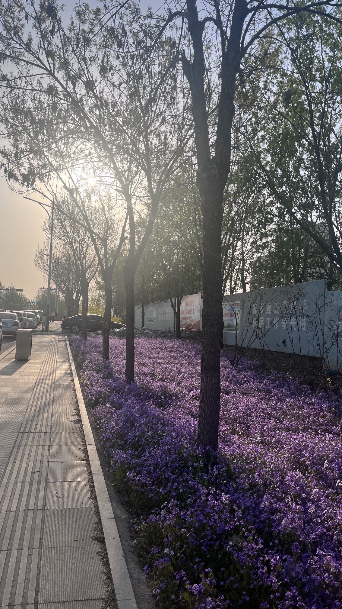 支脉河公园旅行图片 3