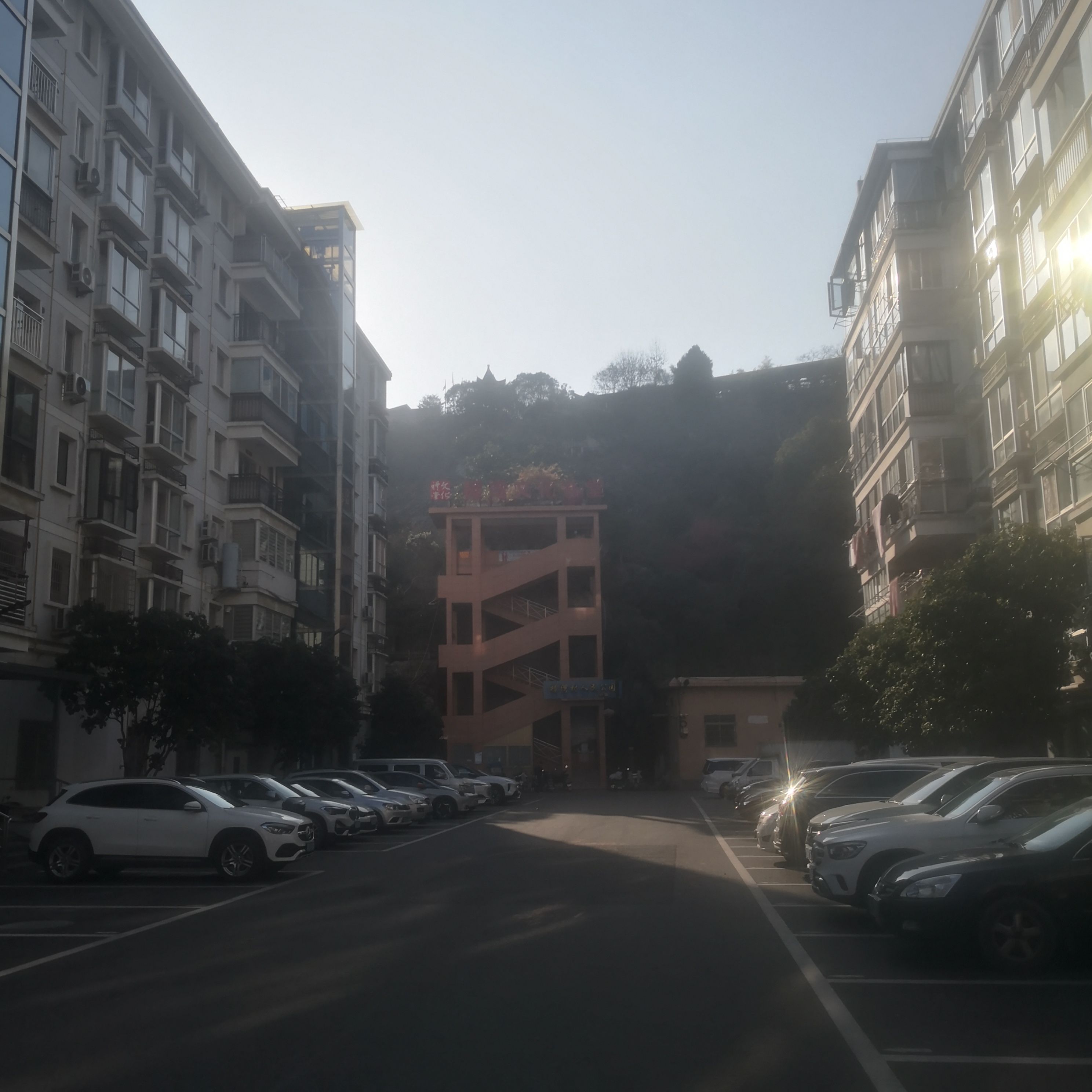 樟湾山党建主题公园旅行图片 1