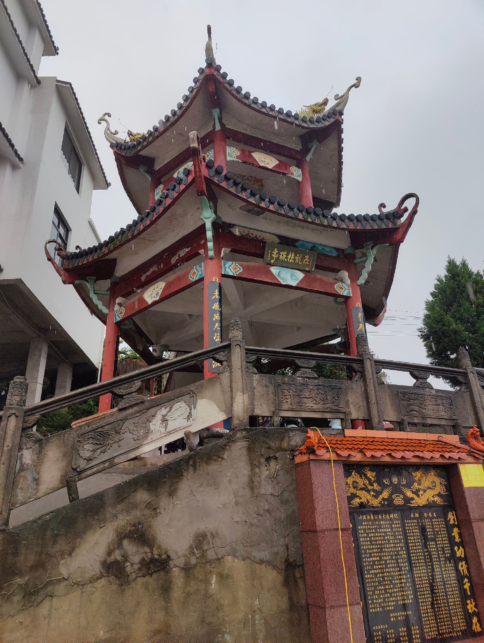 樟湾山党建主题公园旅行图片 1