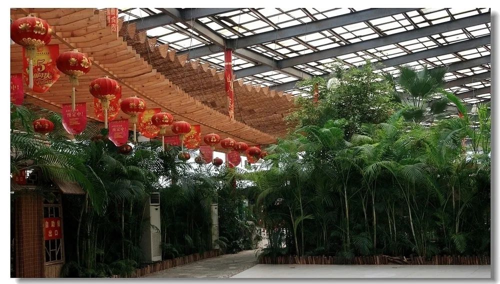 淮罗生态园旅行图片 2
