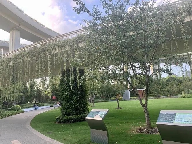 静安中环公园旅行图片 3