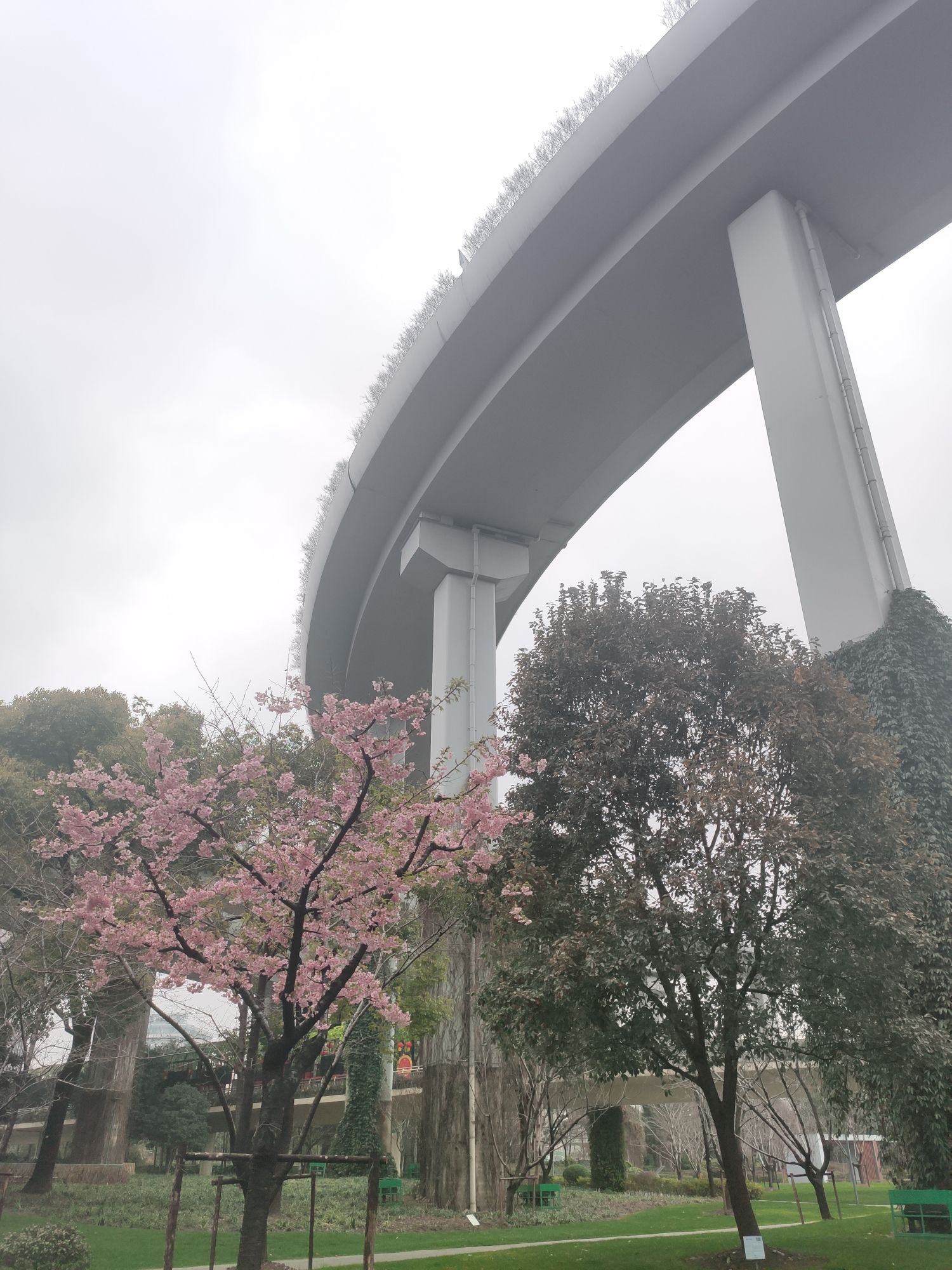 静安中环公园旅行图片 3