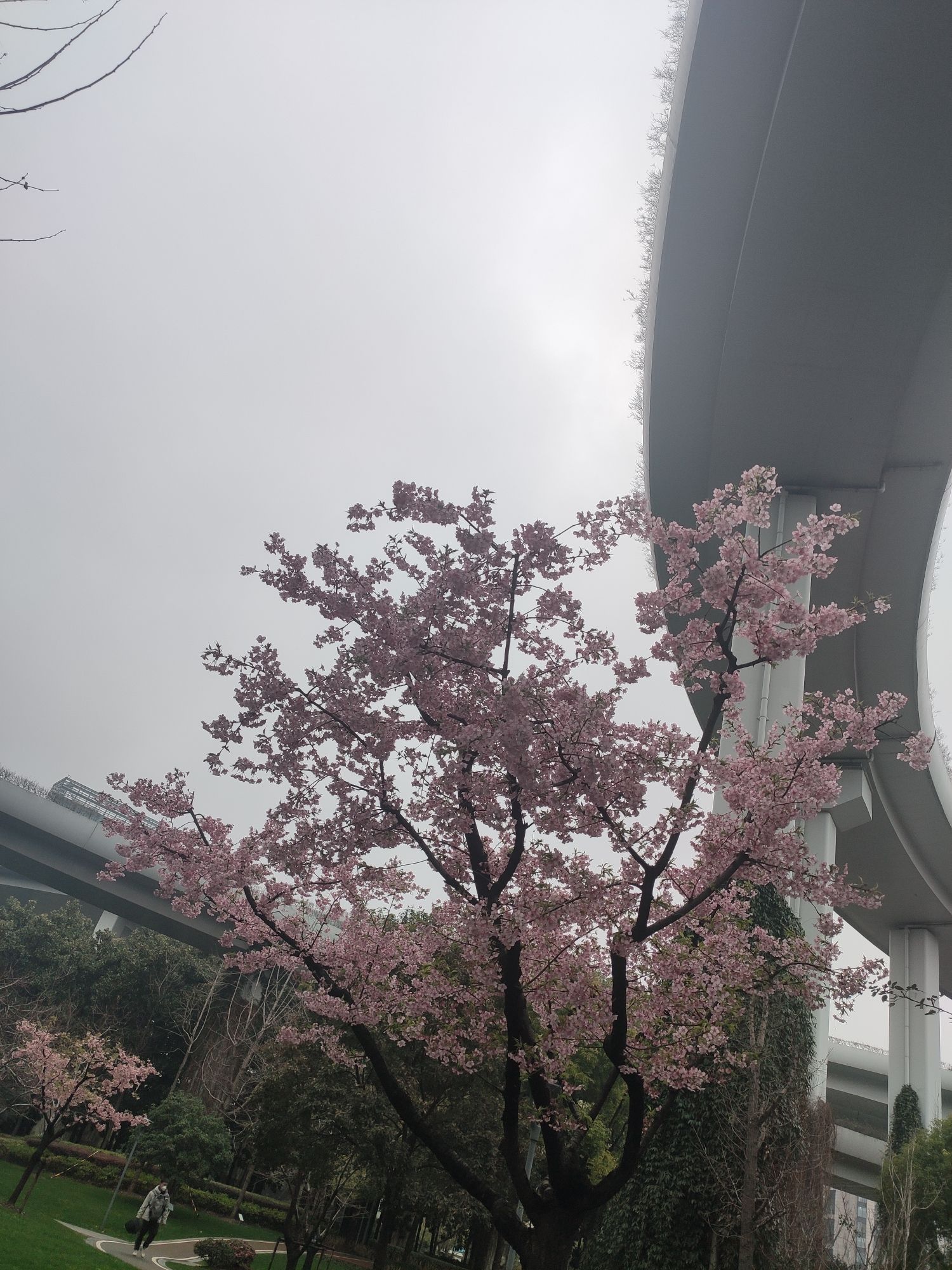 静安中环公园旅行图片 2