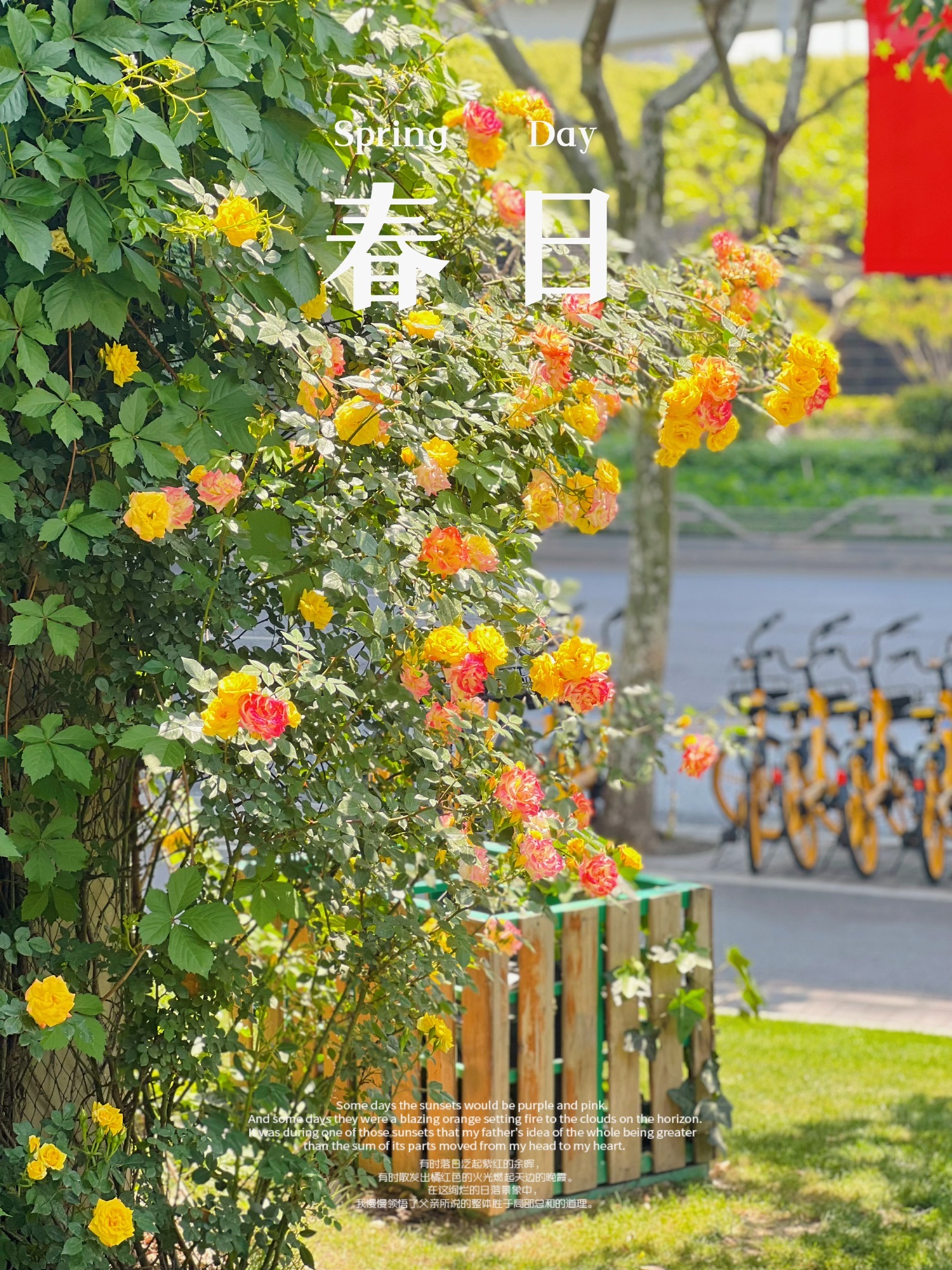 静安中环公园旅行图片 1