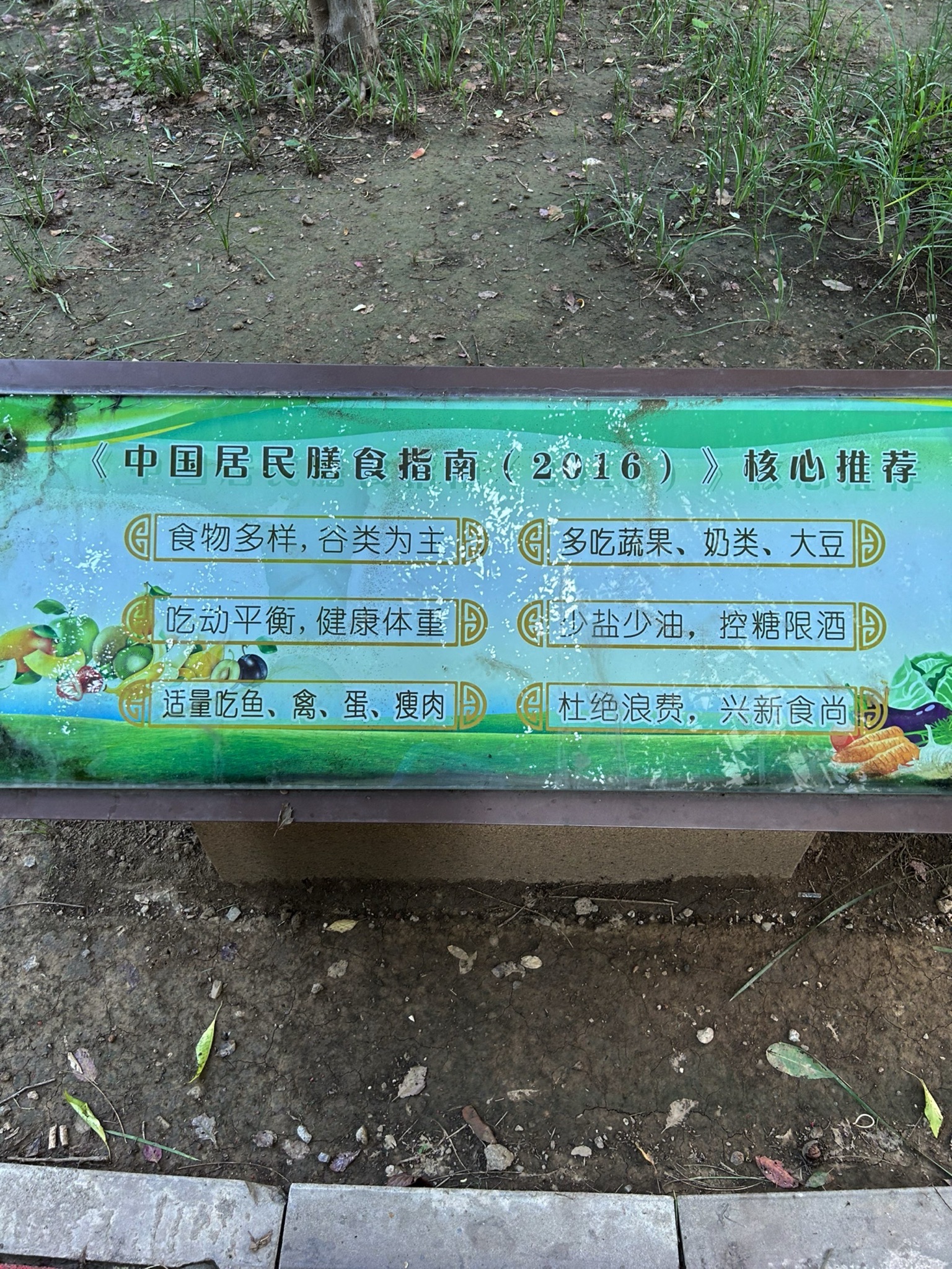 和平区健康主题公园旅行图片 2